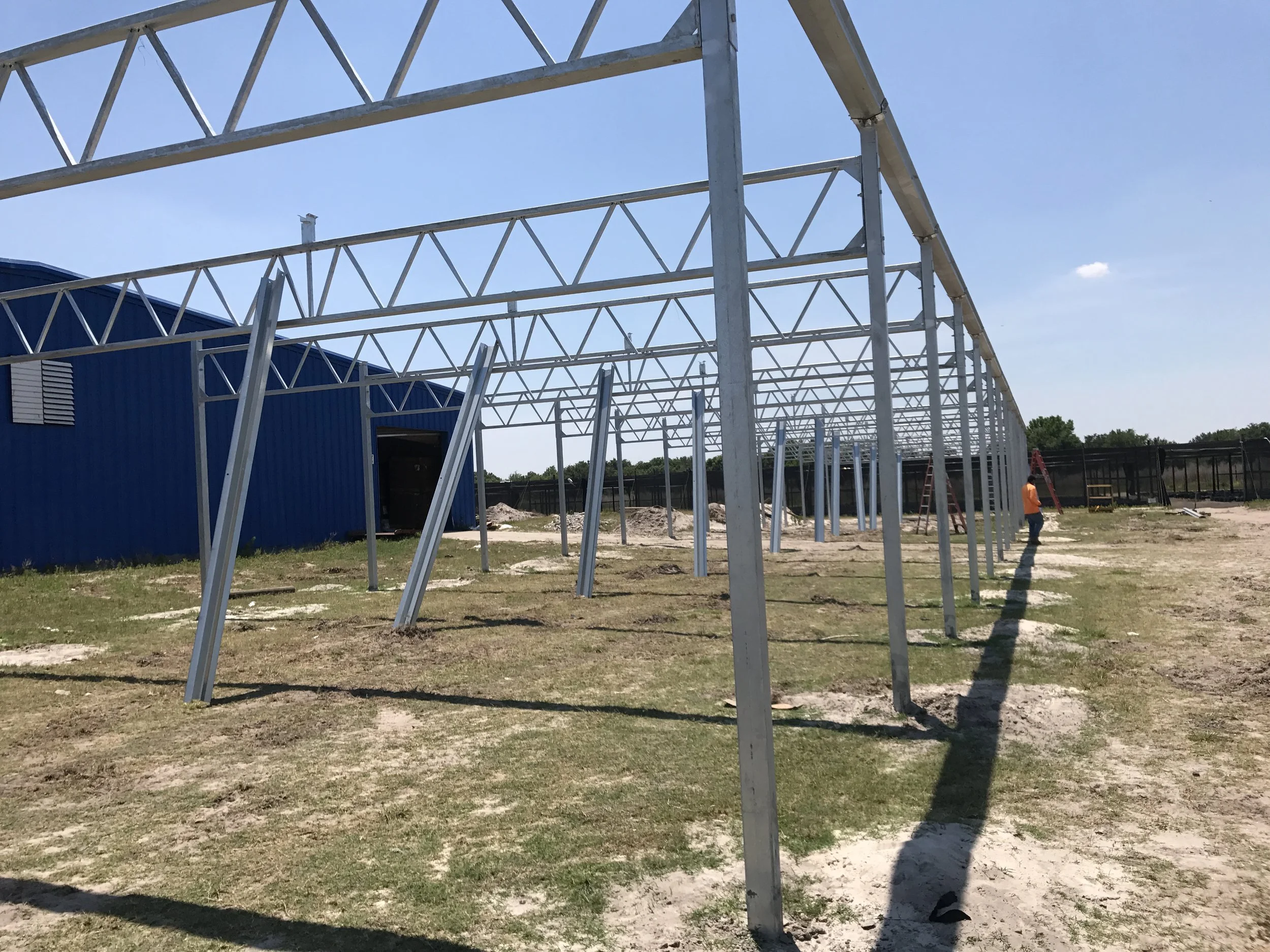 Steel framework being assembled for a building structure on a construction site with a worker in an orange shirt and a building with blue siding in the background.