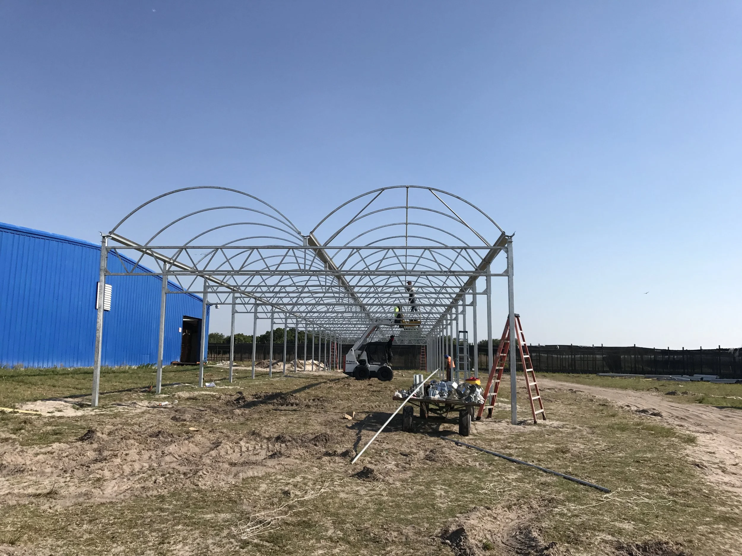 Construction of a metal greenhouse frame with workers, ladders, and equipment on a partly grassy, dirt-covered site.