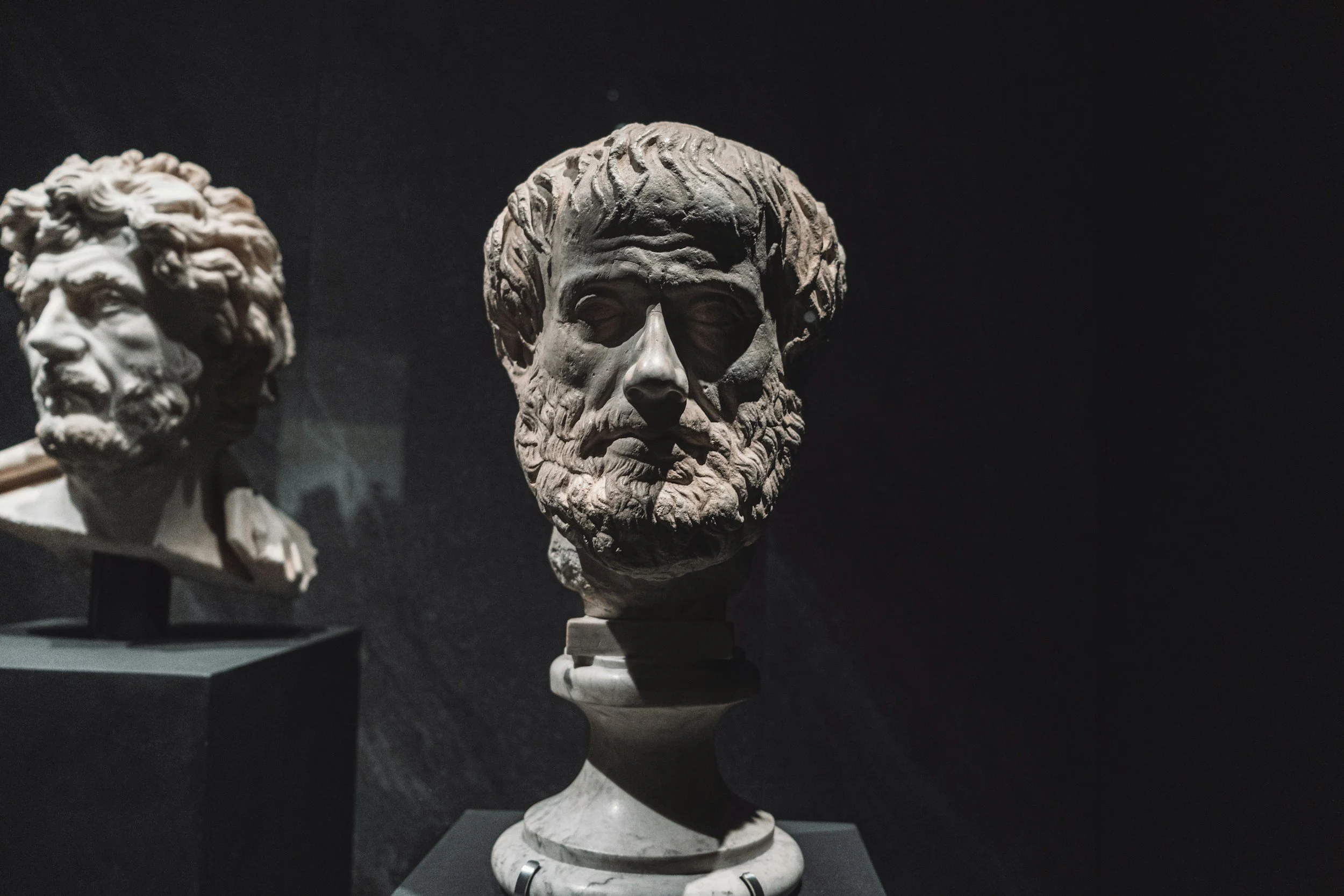 Marble bust sculptures of ancient Greek philosophers displayed in a museum with dark background lighting.