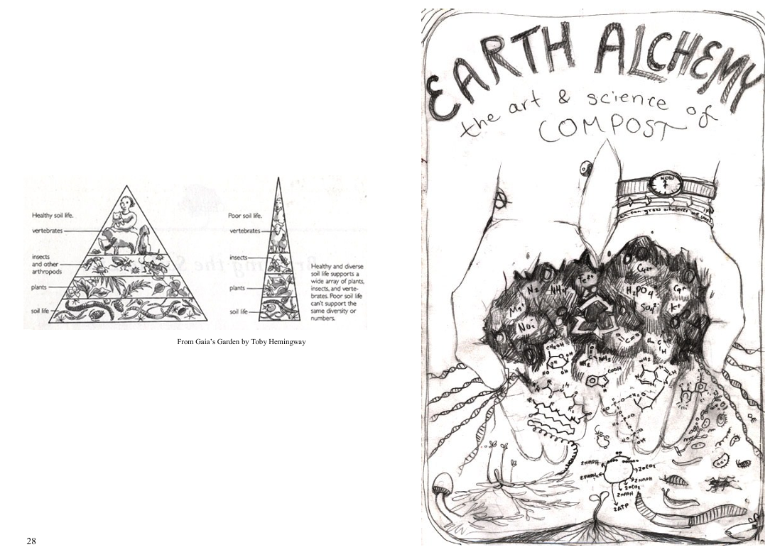 Hand-drawn cover of a book titled "Earth Alchemy: the art & science of compost" featuring hands holding compost with chemical formulas, insects, and plants, and diagrams of soil layers.