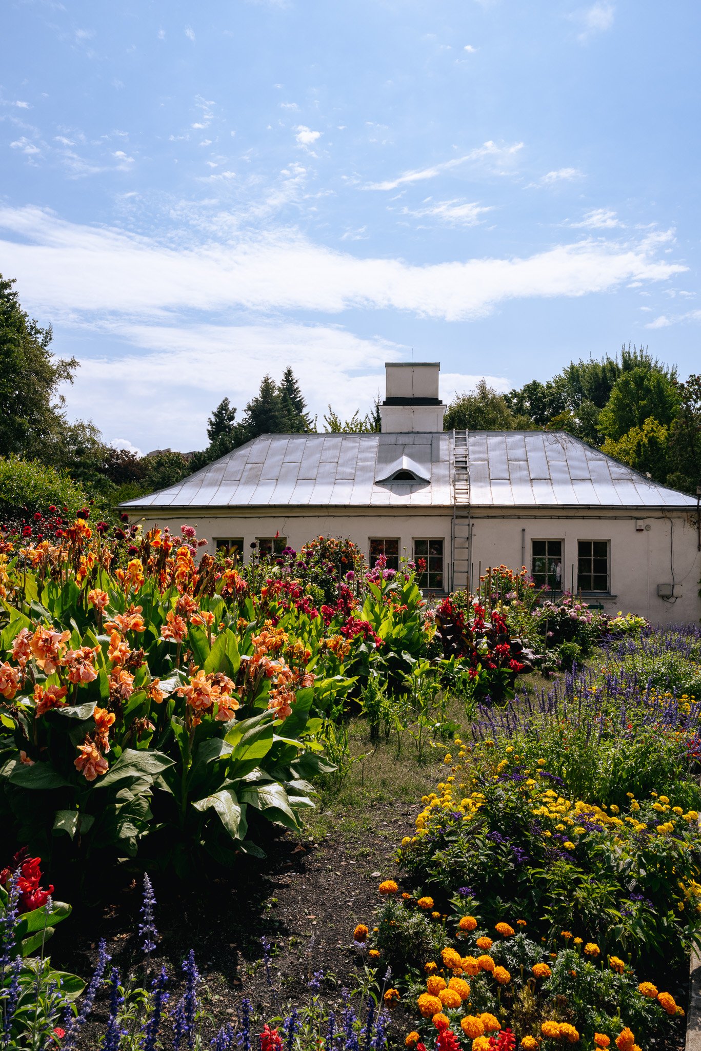 L1000240.jpg