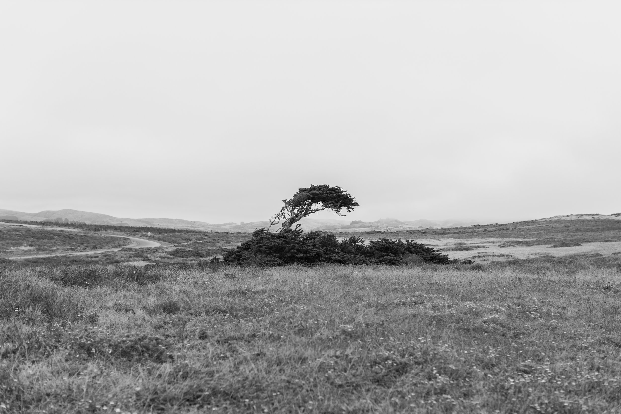 _P8A6307.jpg