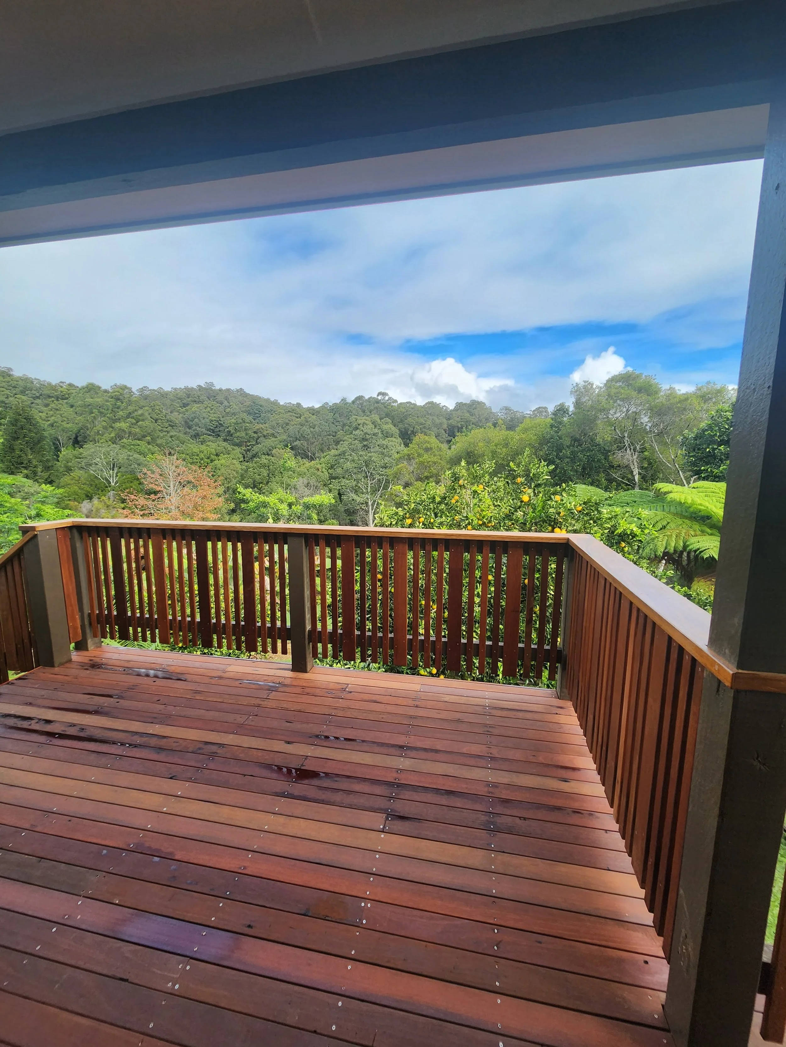 20250514_105404 (1).jpg