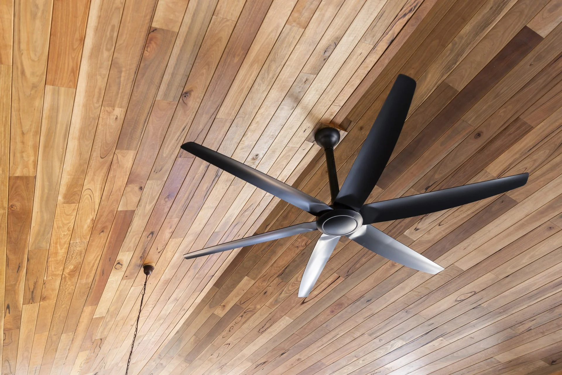 159 Pearl Circuit_058.jpg