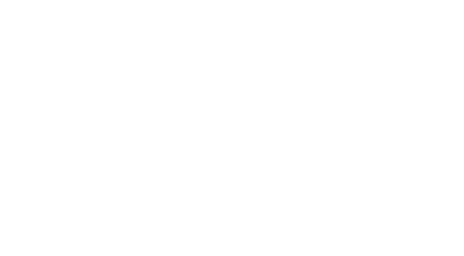 VIP MotorGroup