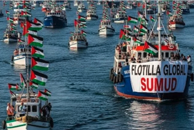 Screen Shot 2025-09-15 at 11.13.09 PM.png