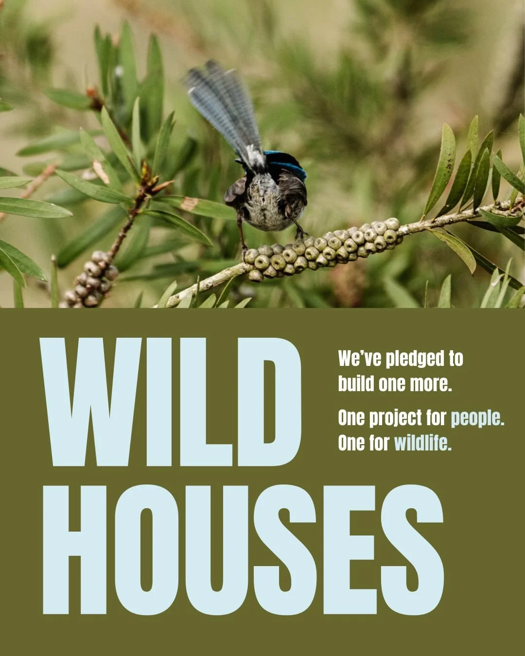 We&rsquo;ve pledged to build Wild Houses.
For every project we deliver, one house will be funded for wildlife. Wild Houses is a simple, measurable way for the built environment to help restore habitat alongside the homes we create for people.

This o