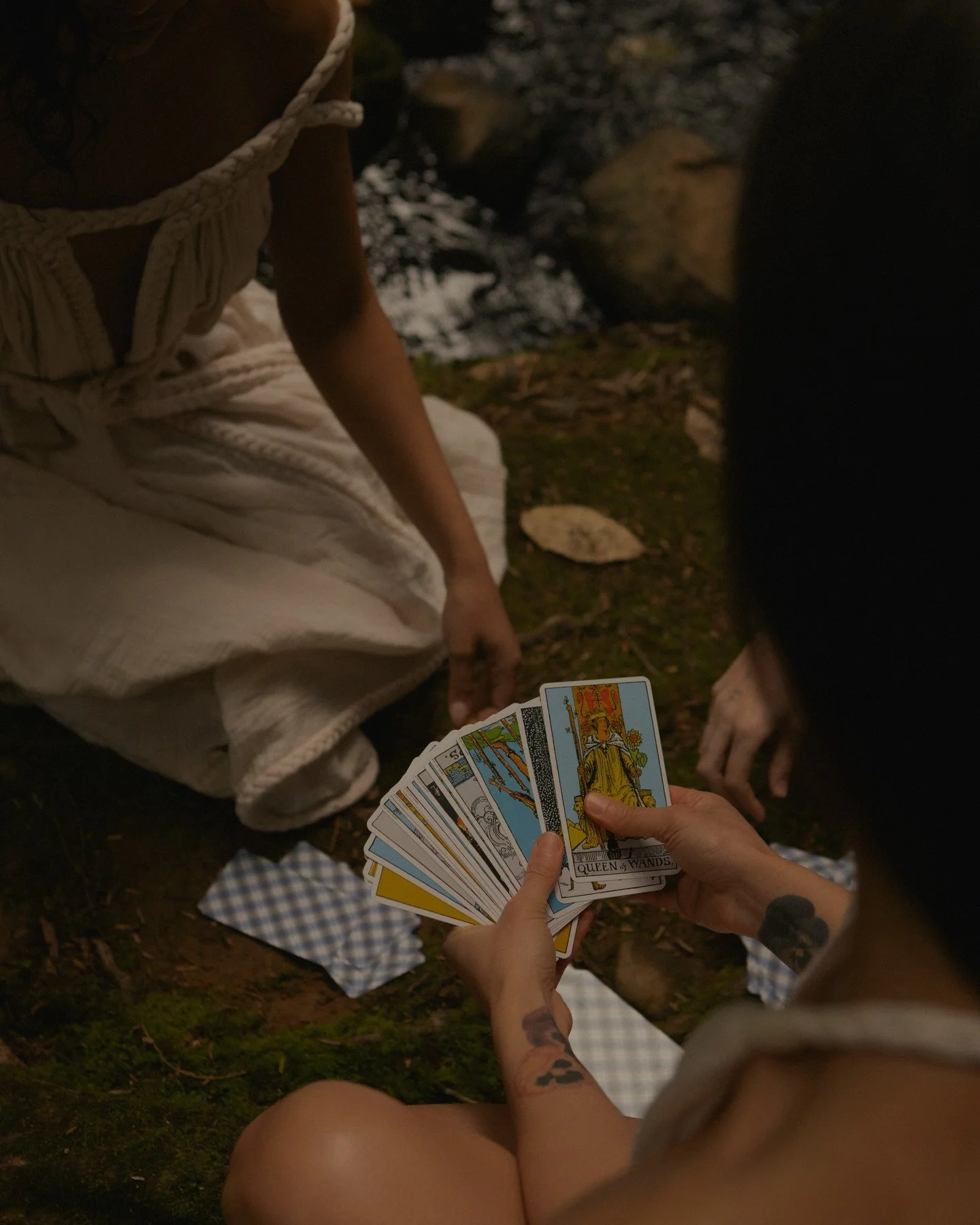 So.. I&rsquo;m opening the door to&nbsp;distant readings again!&nbsp;

I&rsquo;ll be offering both&nbsp;Tarot and Astrology&nbsp;✨ A modality I&rsquo;ve been excited to offer for a little while now. These will be available through @thehealingroom.nz 