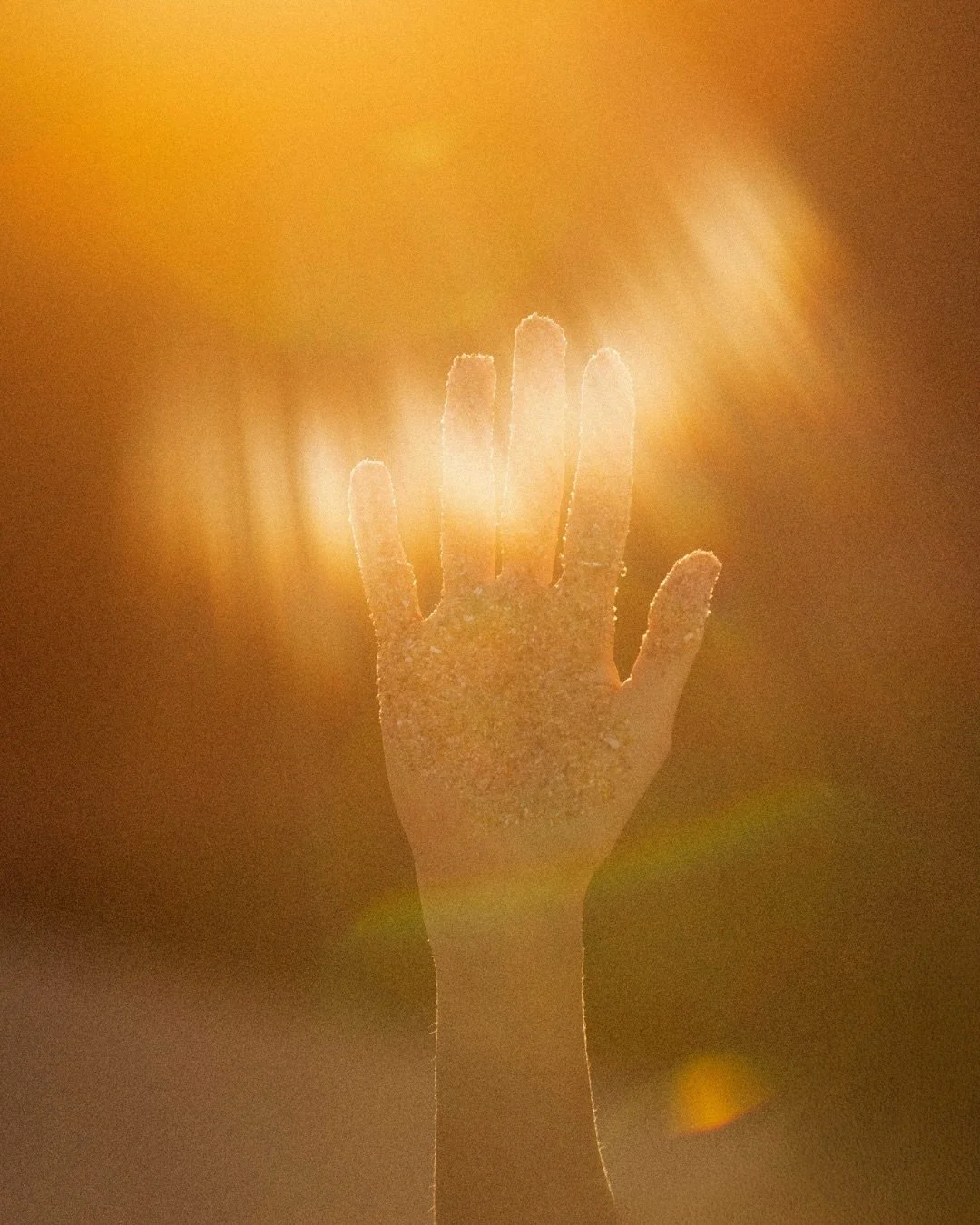 Why do you get a photoshoot done for yourself?

For Katie it was the end of a chapter, and the excitement of a new journey overseas + for her business. 

She also survived her Saturn Return in Pisces 🌊💫💁🏼&zwj;♀️ 

I endlessly enjoy reading why yo