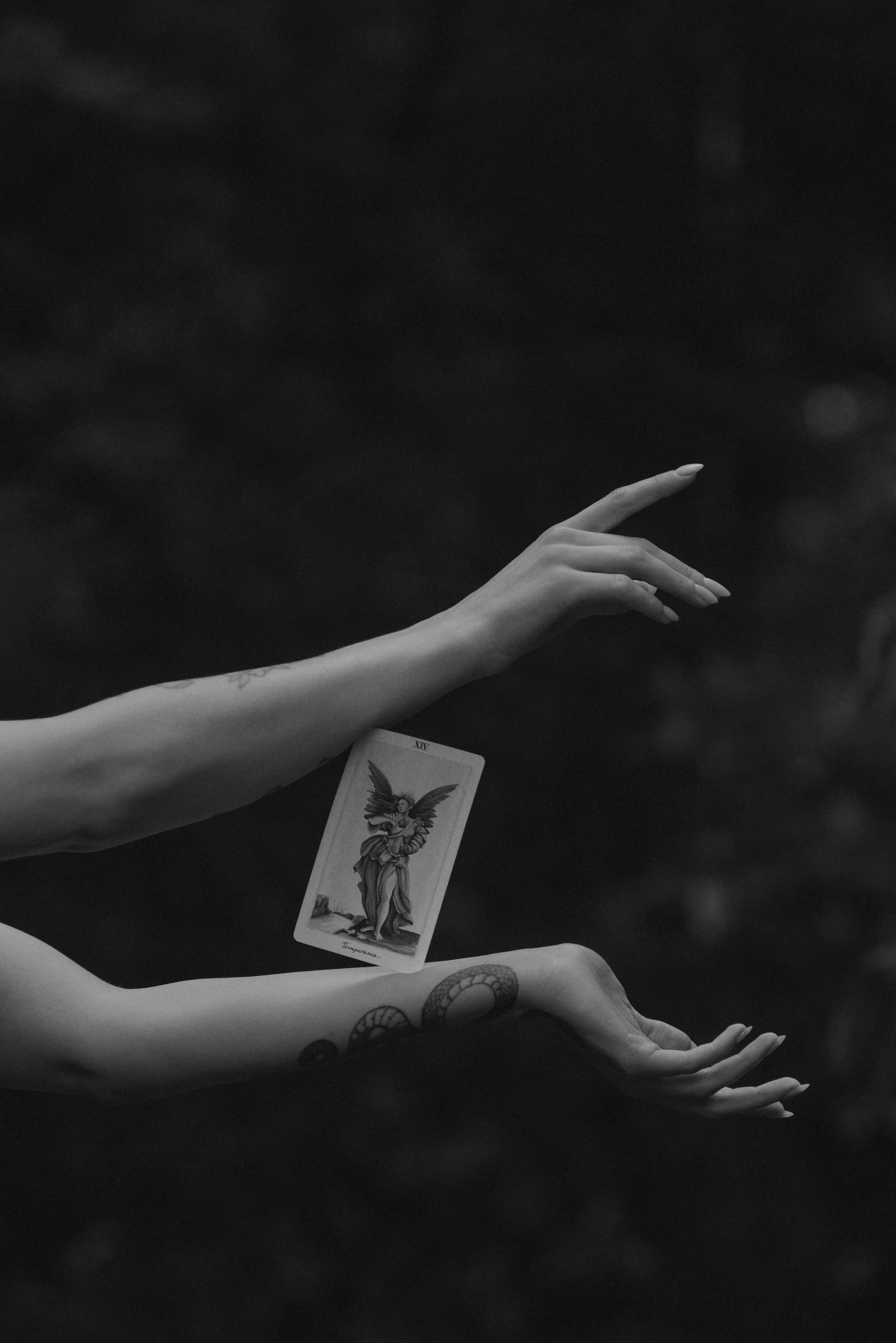 Why I offer Tarot Readings As A Photographer
