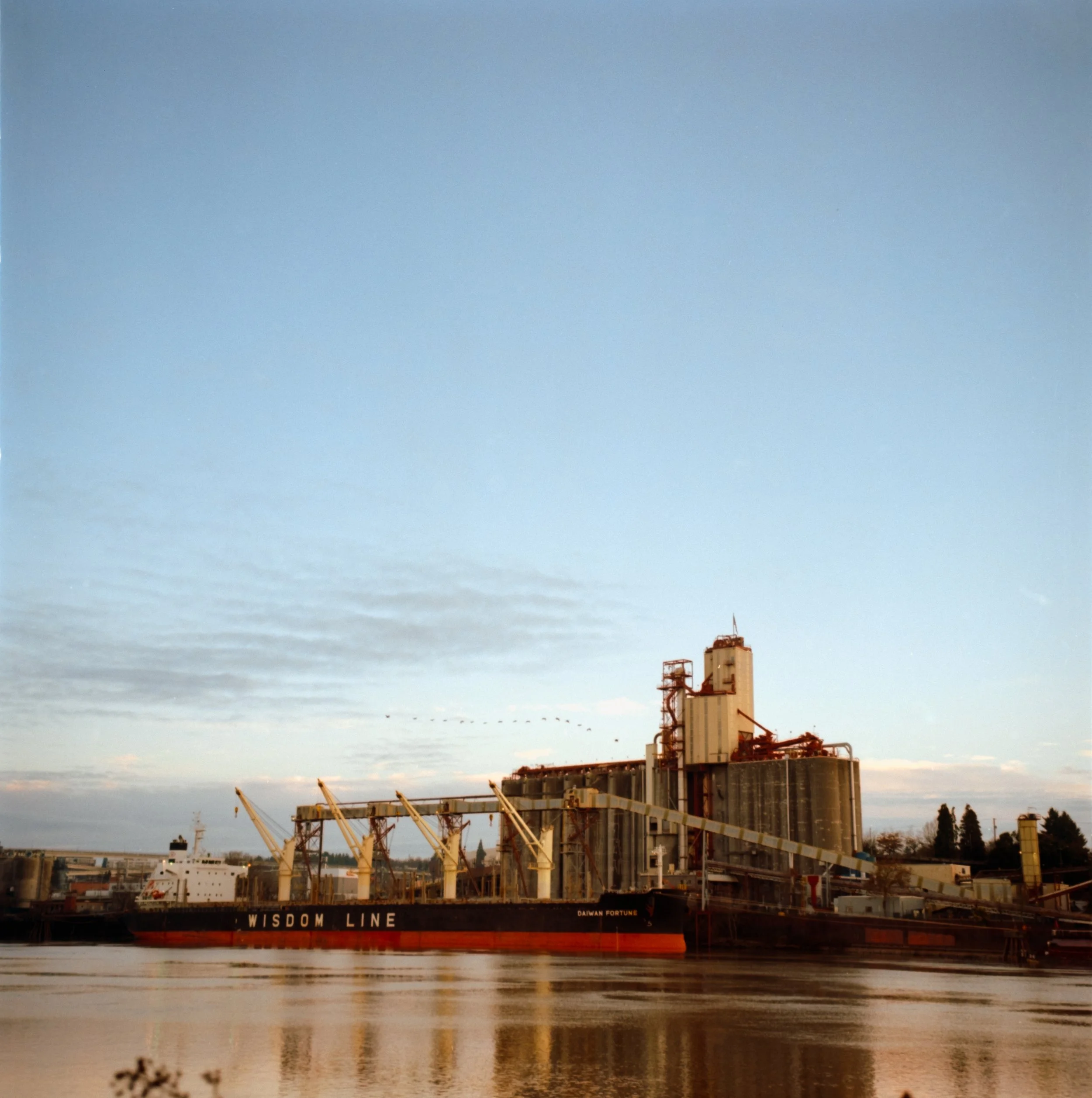 Birds over the Wisdom Line.jpg