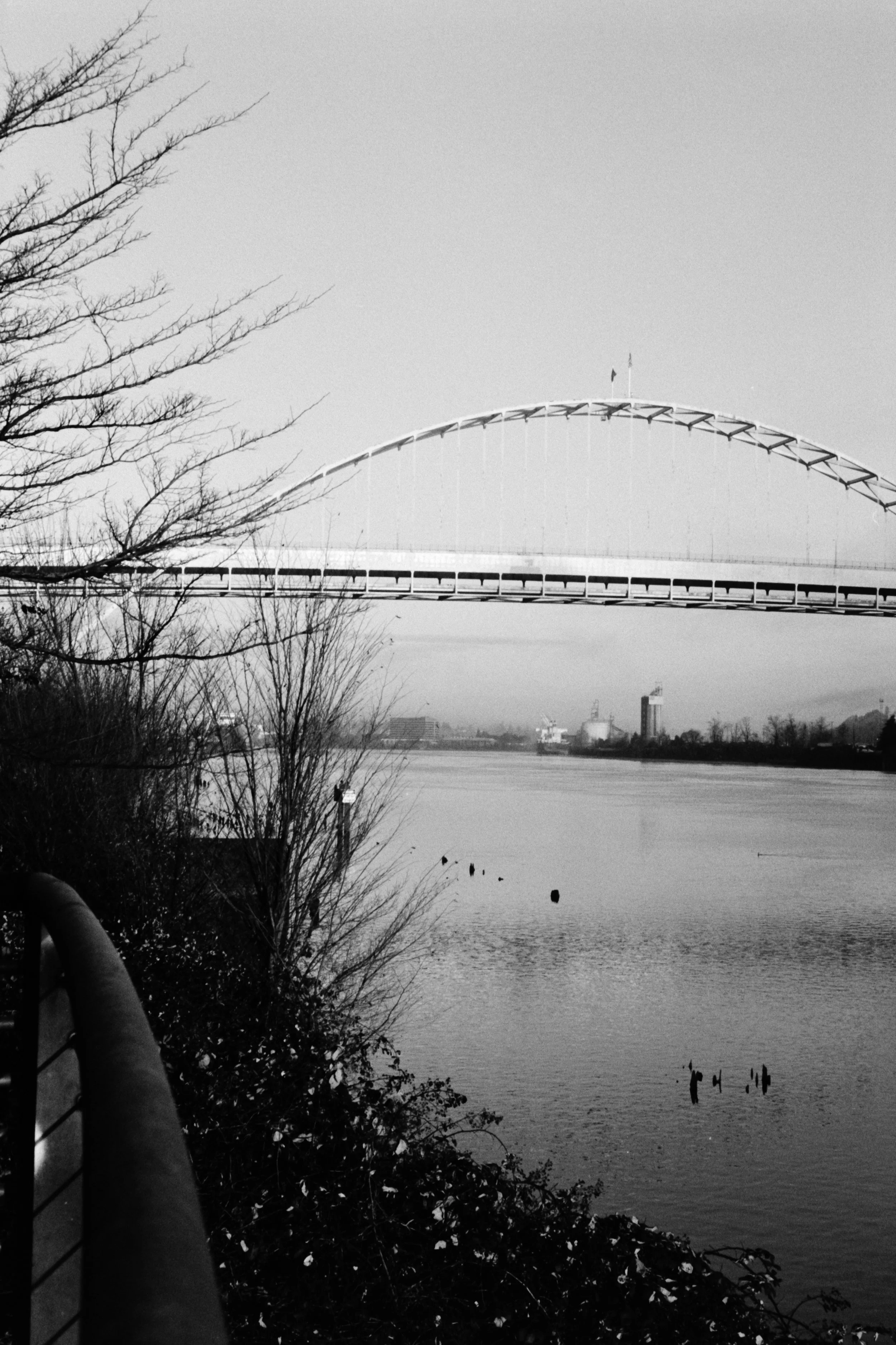 Fremont bridge from the water.jpg