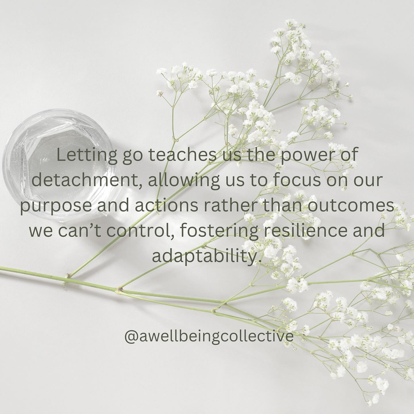 Letting go releases our need to grasp, allowing us to create inner spaciousness. In this openness, we return to presence&mdash;fully engaging in each moment without the constraints of holding on or pushing away. It invites us to be with our experienc
