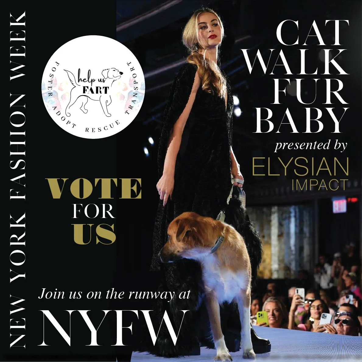 A WOMAN AND A DOG ON A RUNWAY AT NEW YORK FASHION WEEK WITH THE NAME OF THE EVENT (CATWALK FURBABY) AND THE LOGO FROM THE DOG RESCUE FART - FOSTER ADOPT RESCUE TRAIN