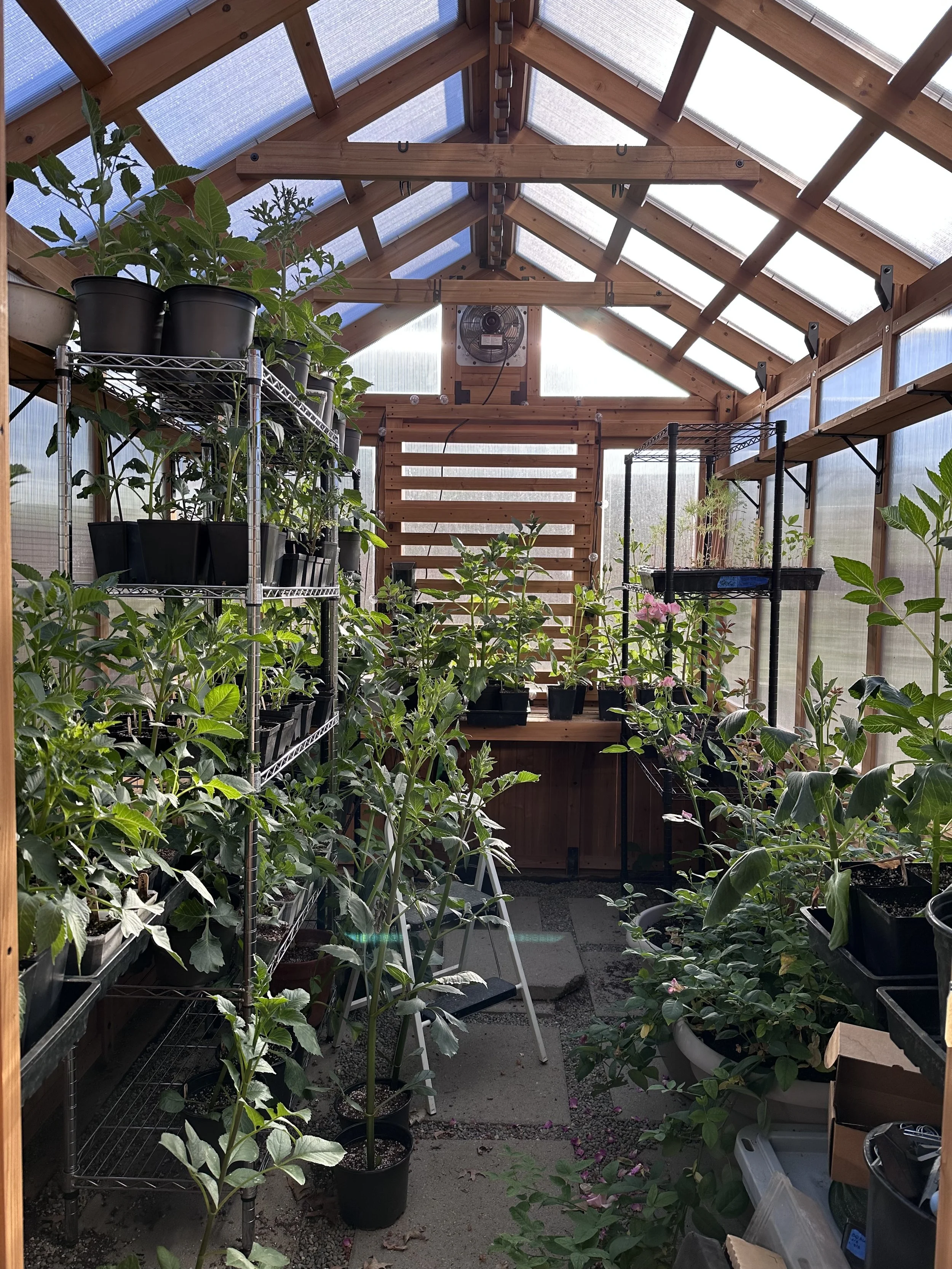 A photo of a greenhouse filled with plants.