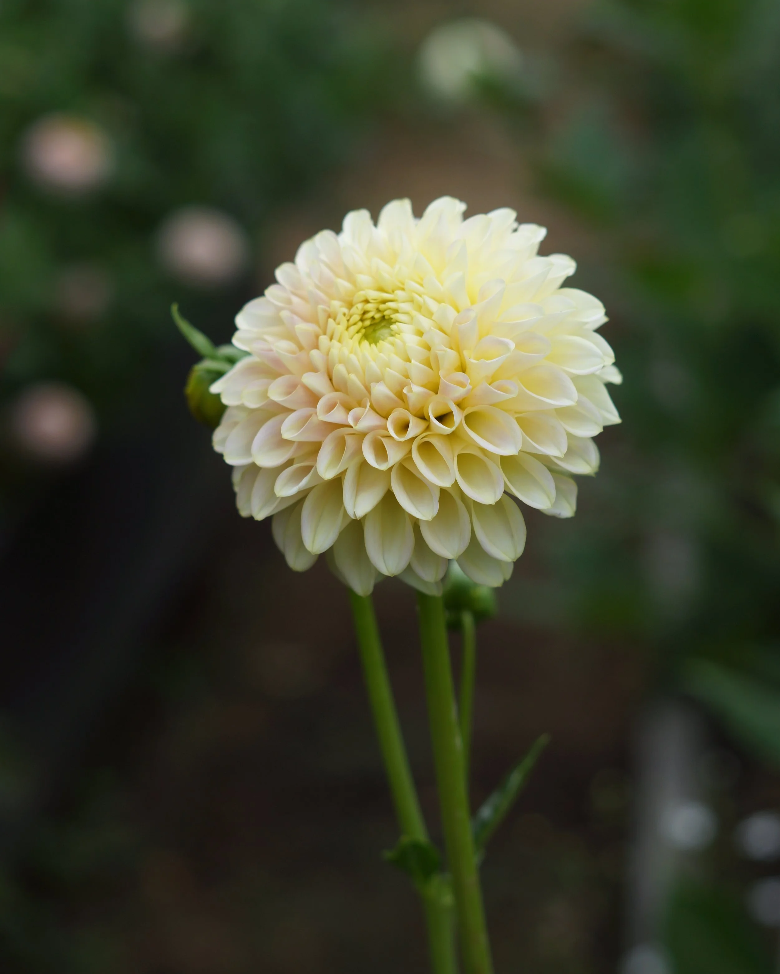 DSC02583.png