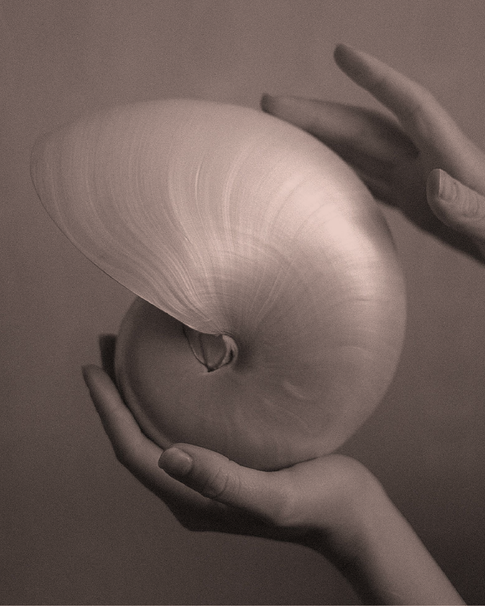 Unfurl: A Spring Workshop