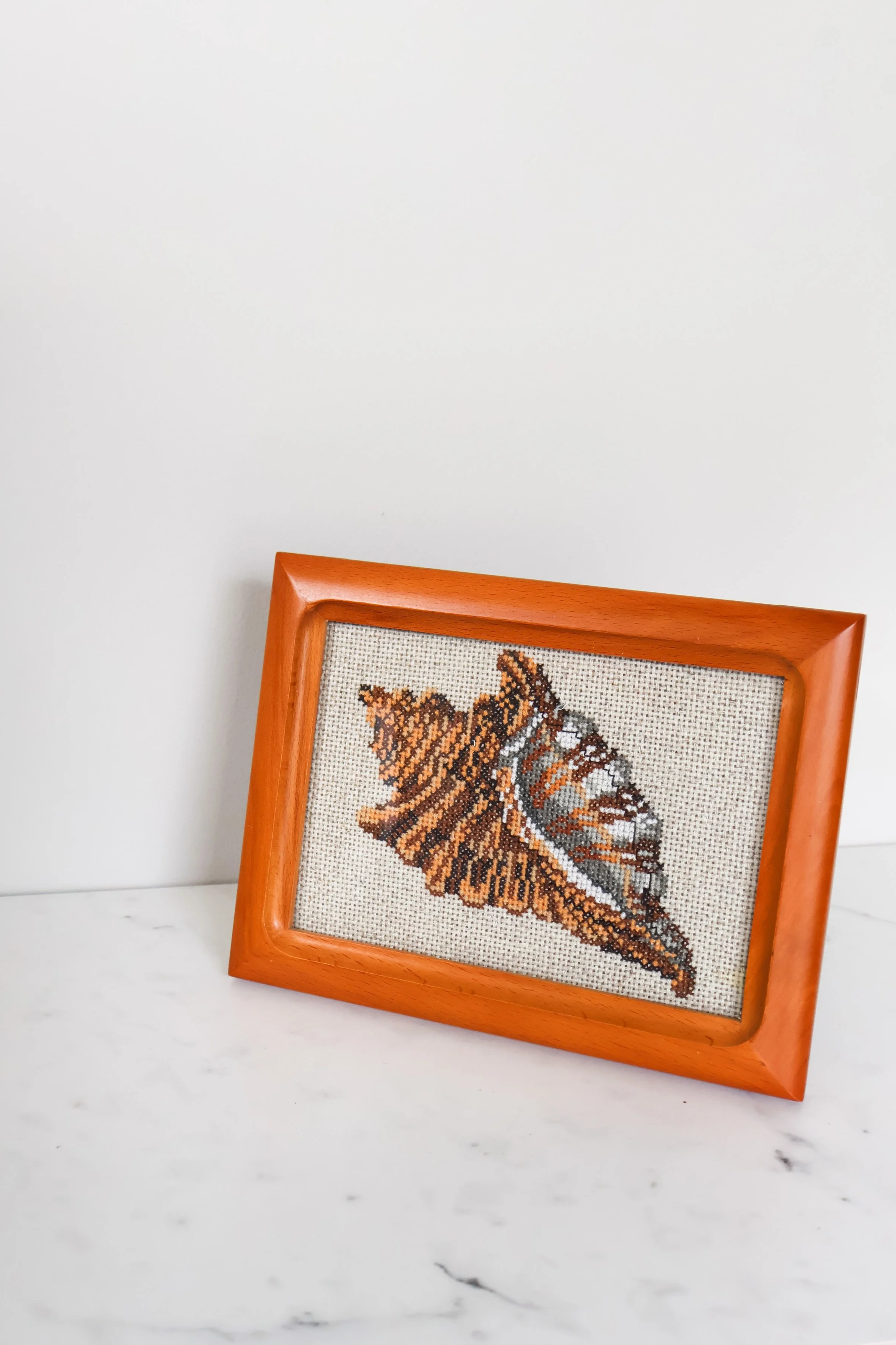 FRAMED SHELL