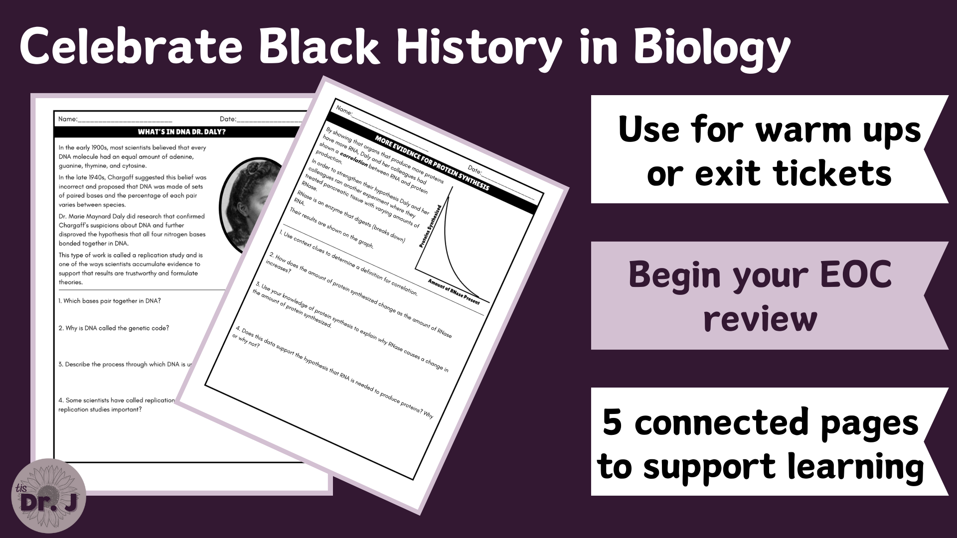 Marie M Daly & Protein Synthesis Biology Activity.png