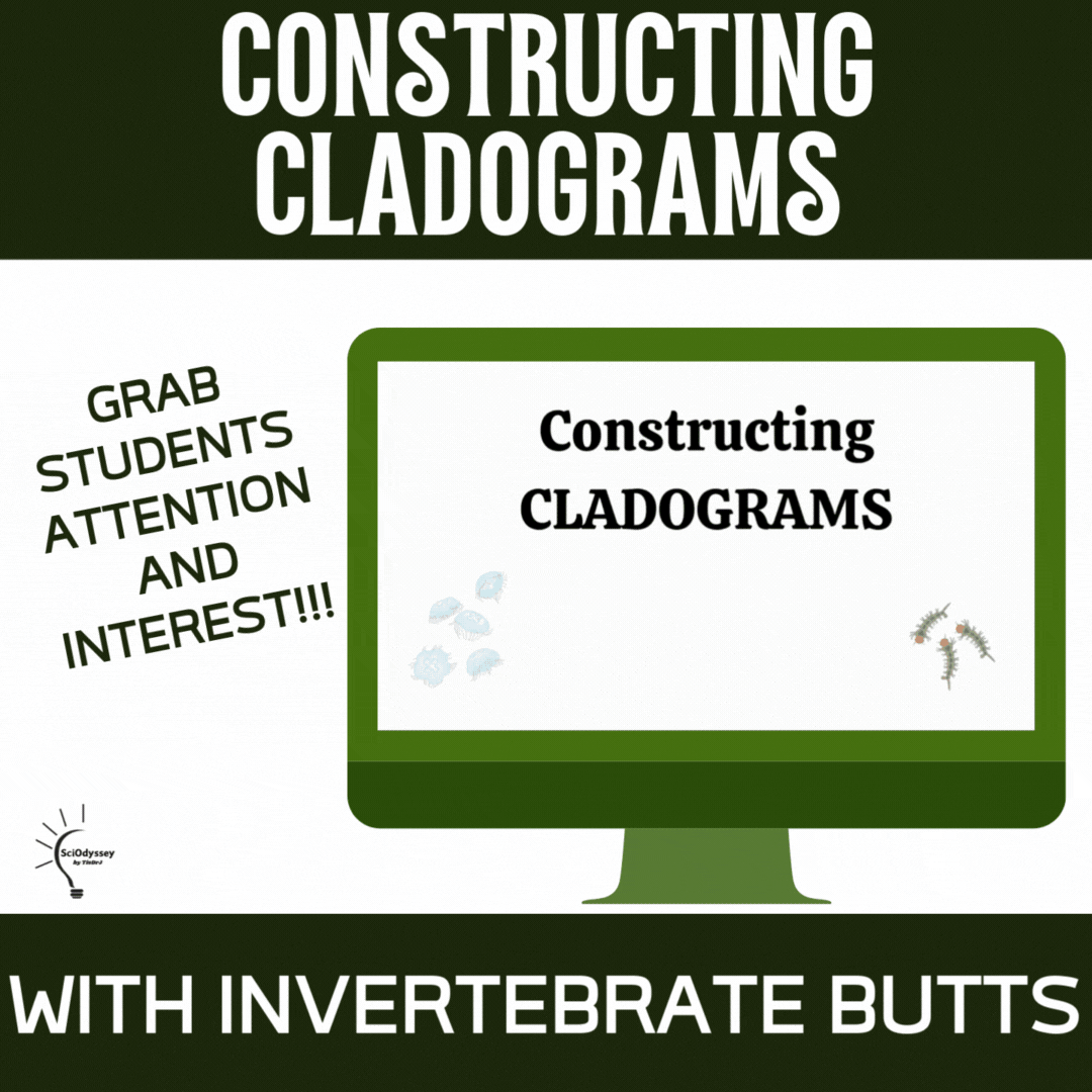 Constructing Cladograms with Invertebrate Butts + Reading Cladograms Like a Highway