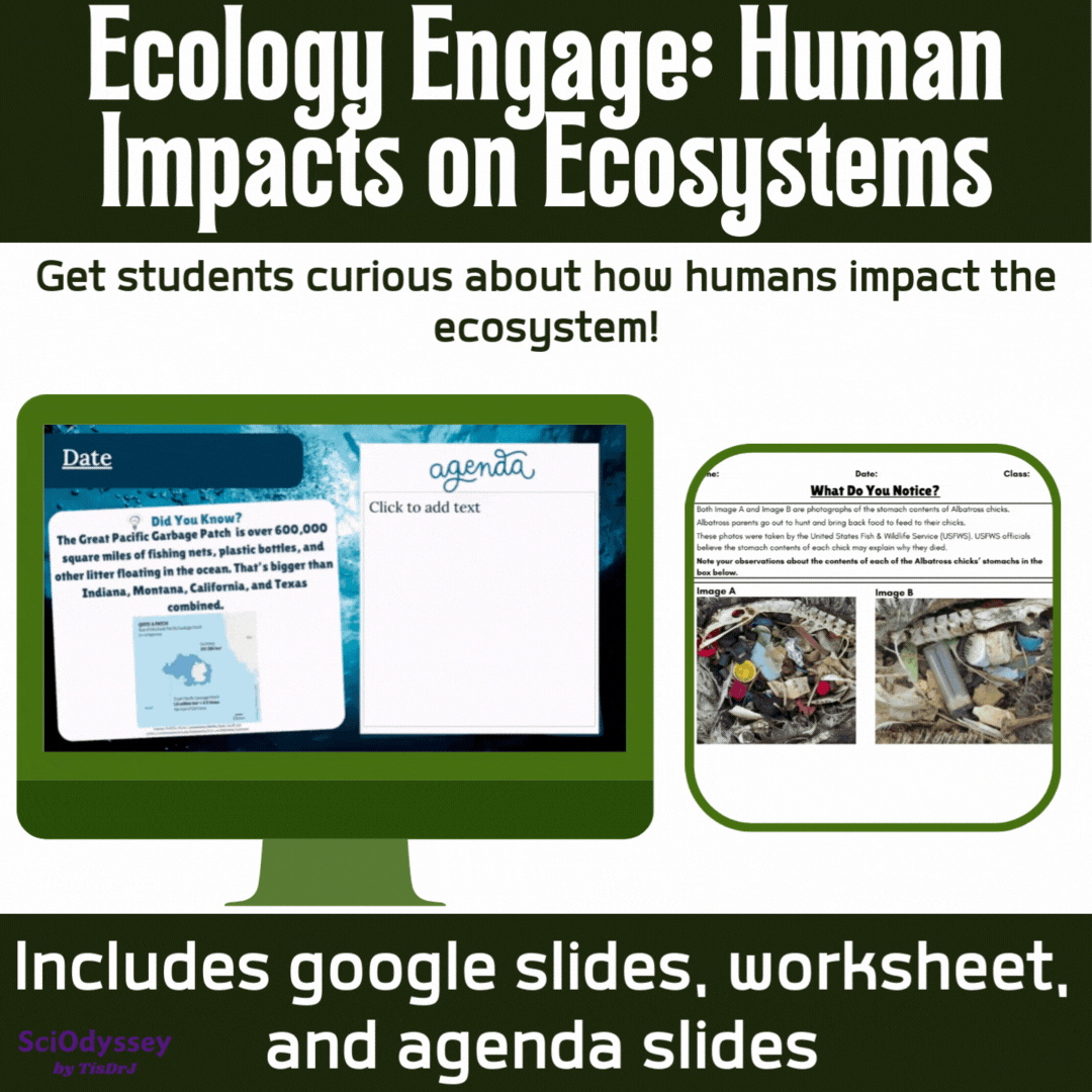 Ecology_Engage_Thumbnail.gif