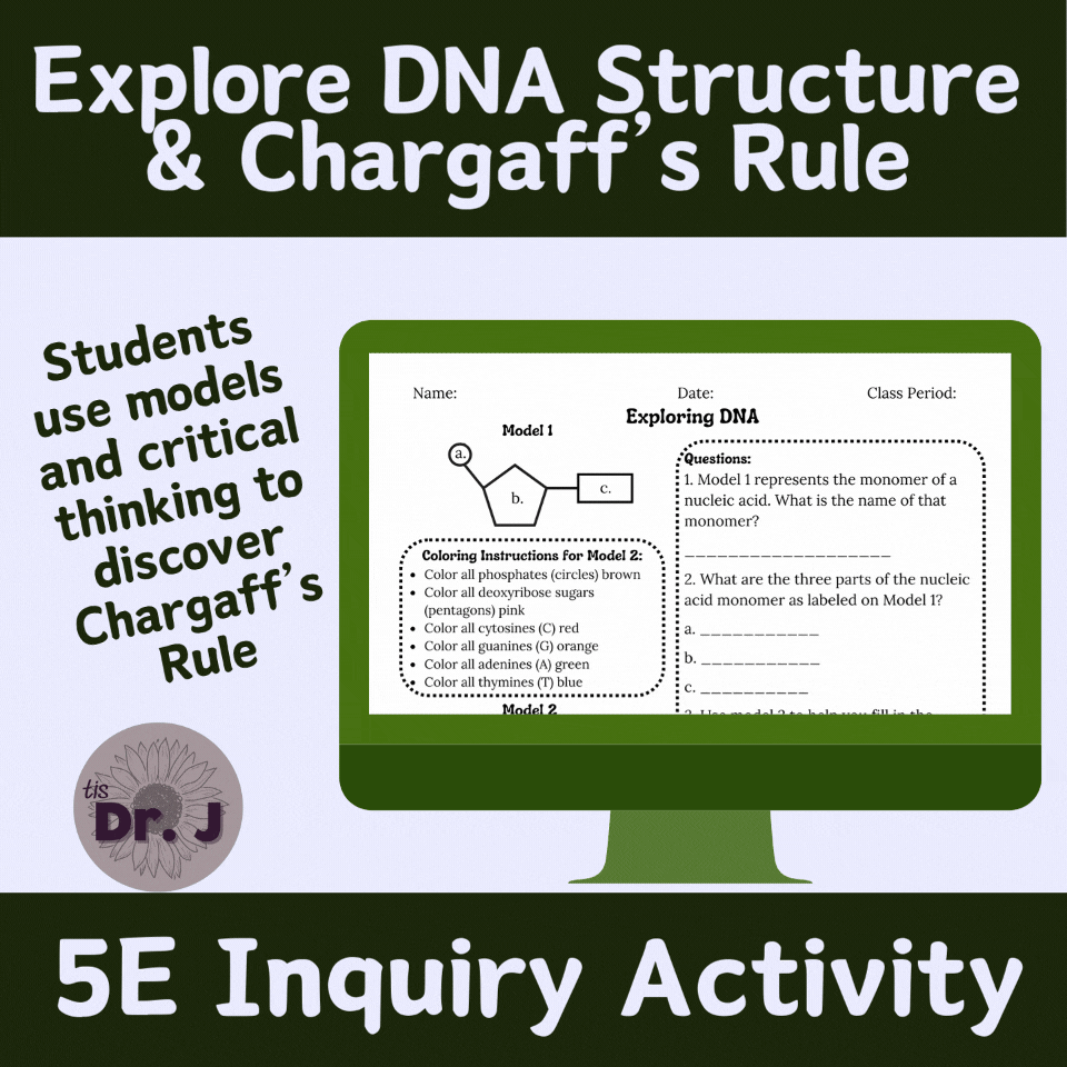 DNA Structure & Chargaff's Rule - Explore