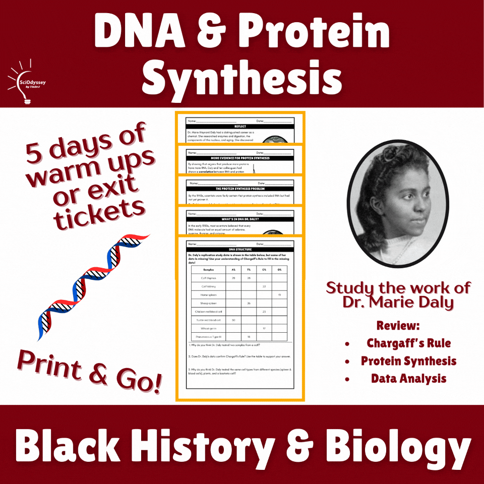 Black History in Biology Marie Maynard Daly DNA & Protein Synthesis