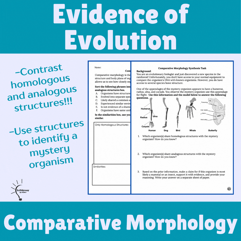 Comparative Morphology Compare & Contrast