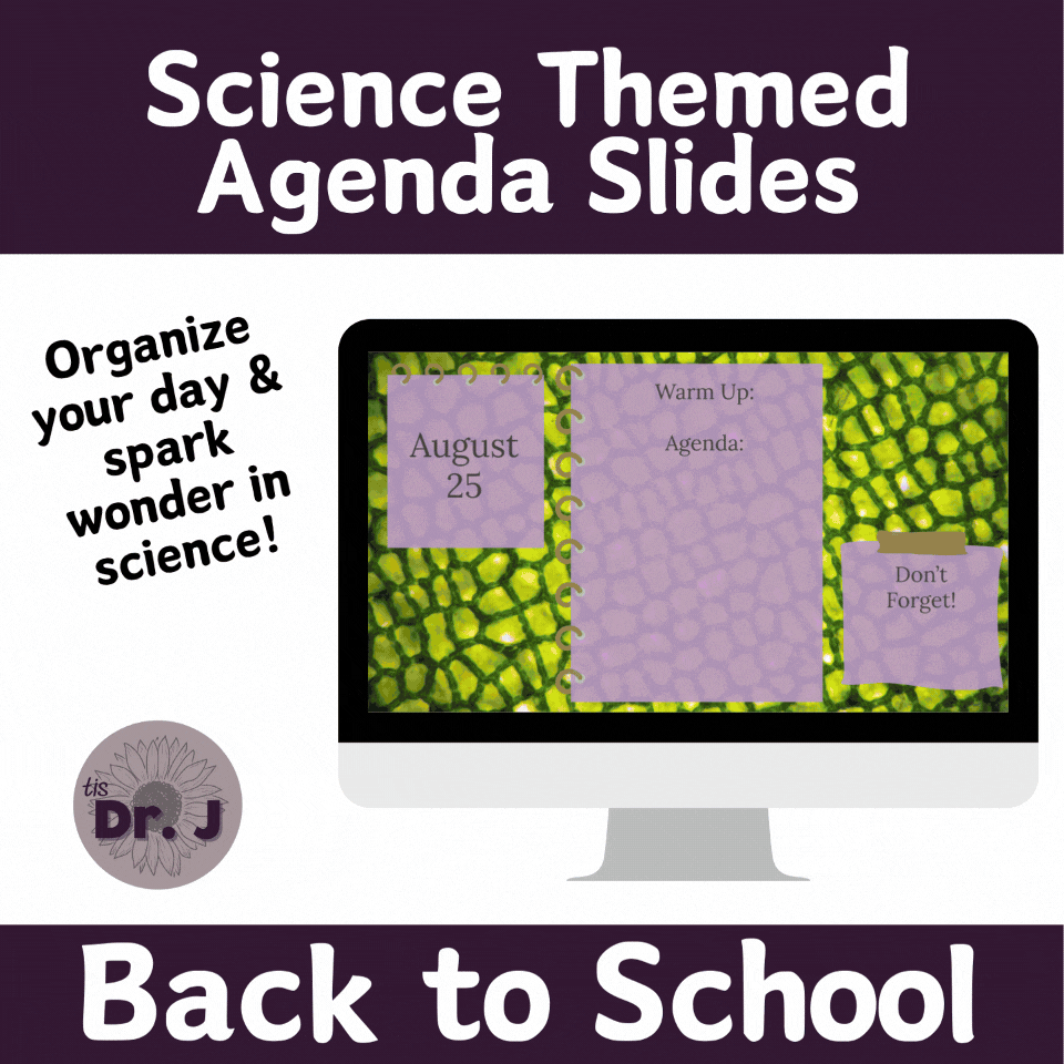 Nature Themed Agenda Slide Bundle