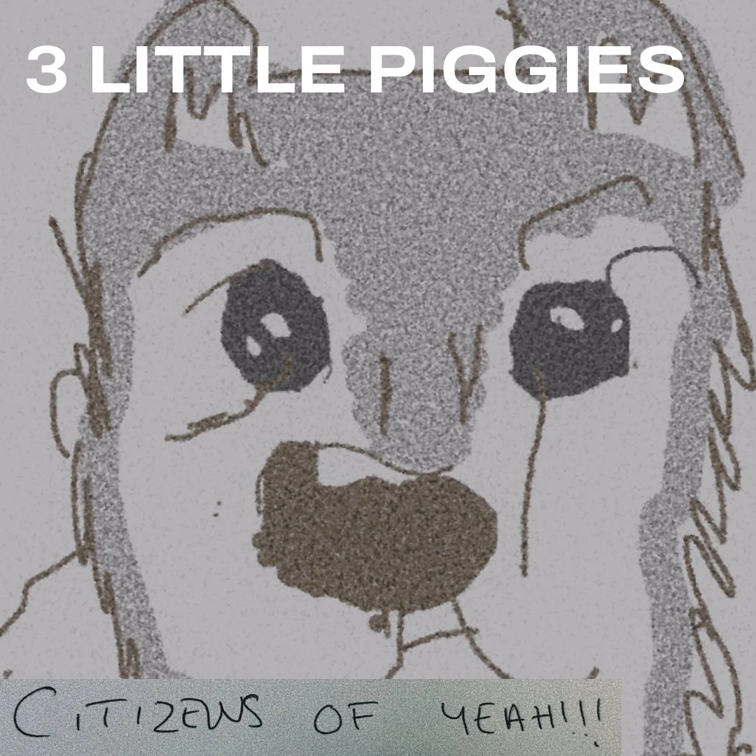 "3 Little Piggies" - Citizens of Yeah!!!: A Playful Take on Financial Woes
