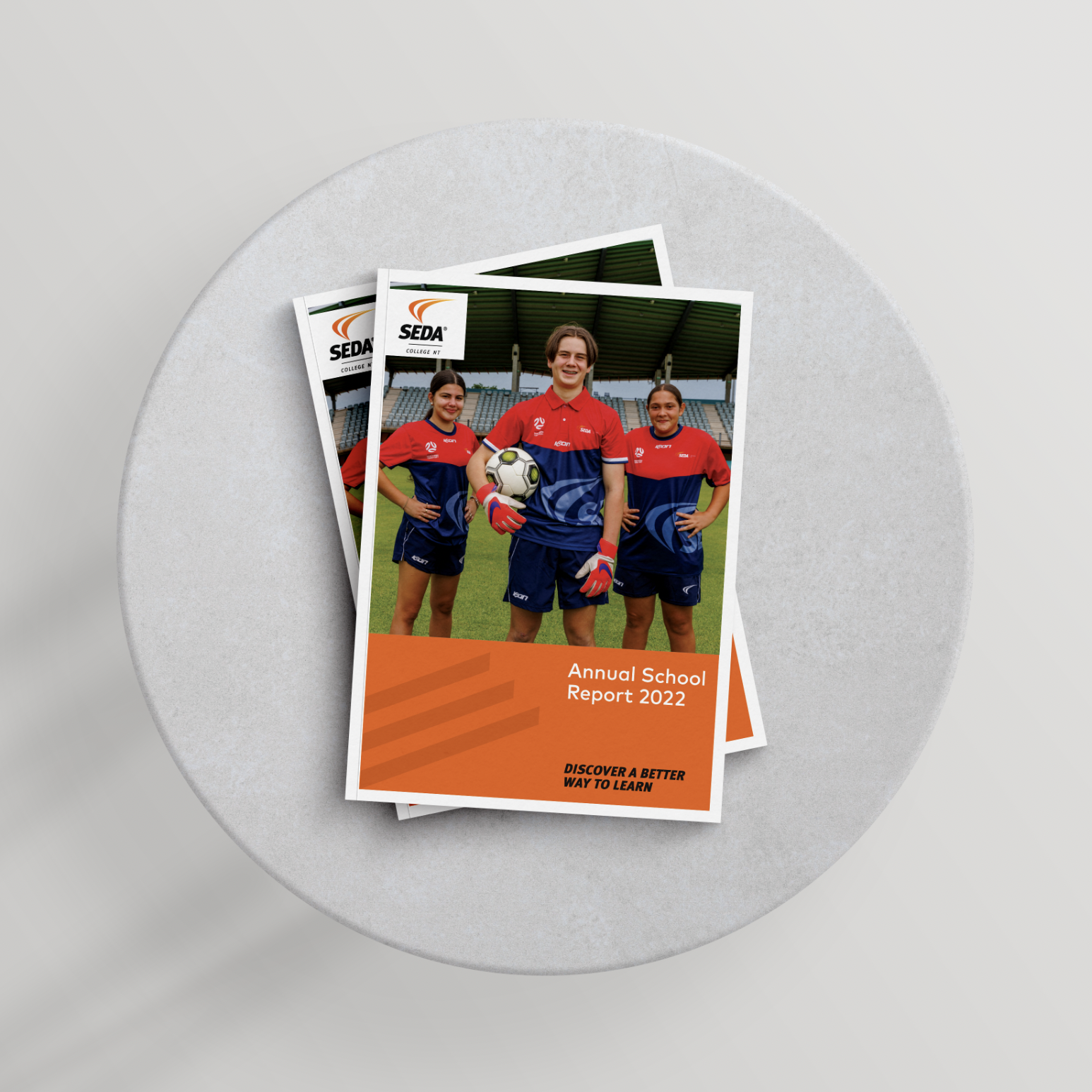 SEDA Annual report.png