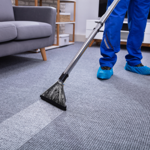 The Importance of Professional Carpet Cleaning for Commercial Spaces