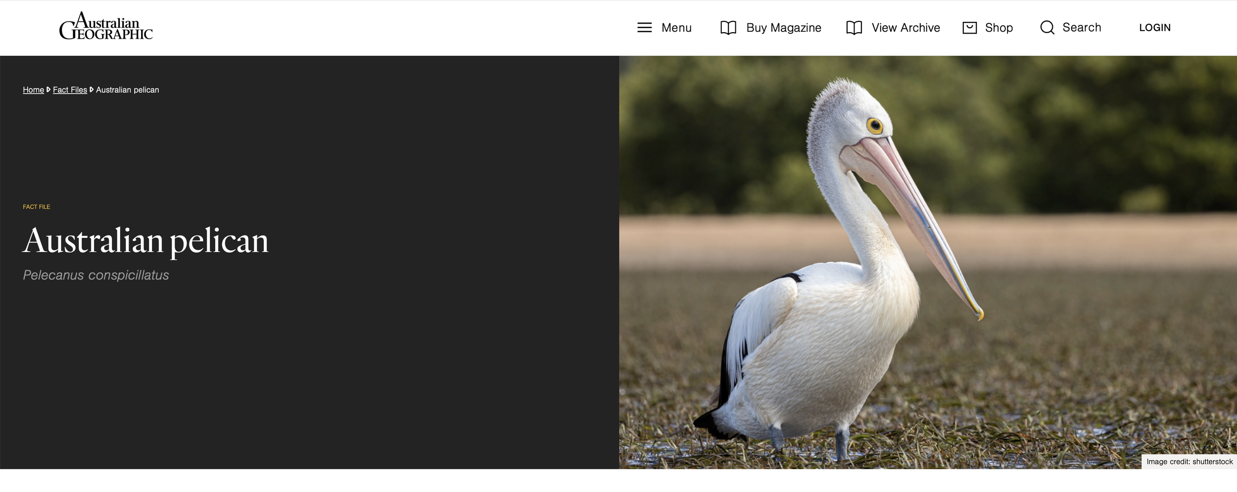 Australian Geographic used my image