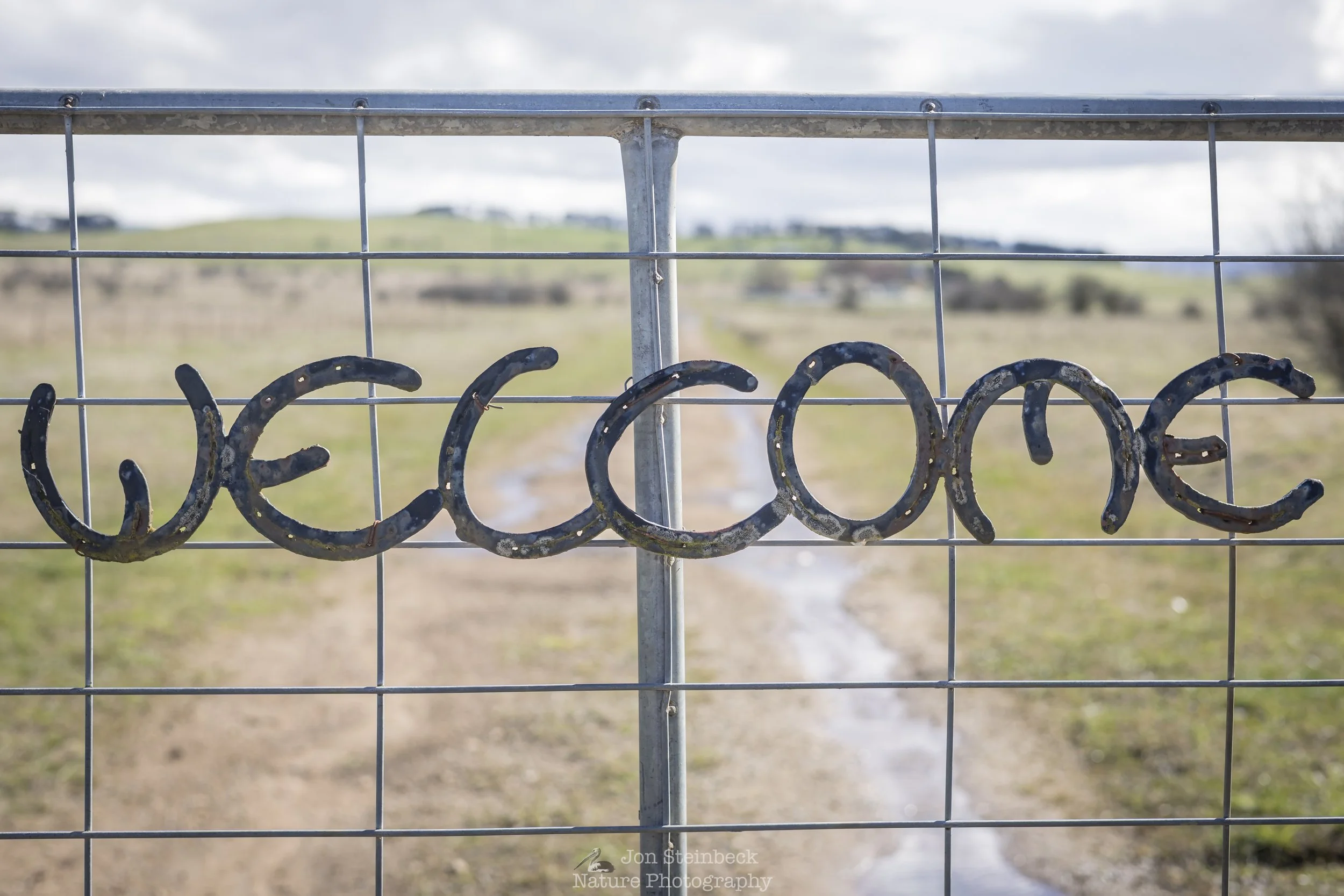 Photography field trip to Braidwood