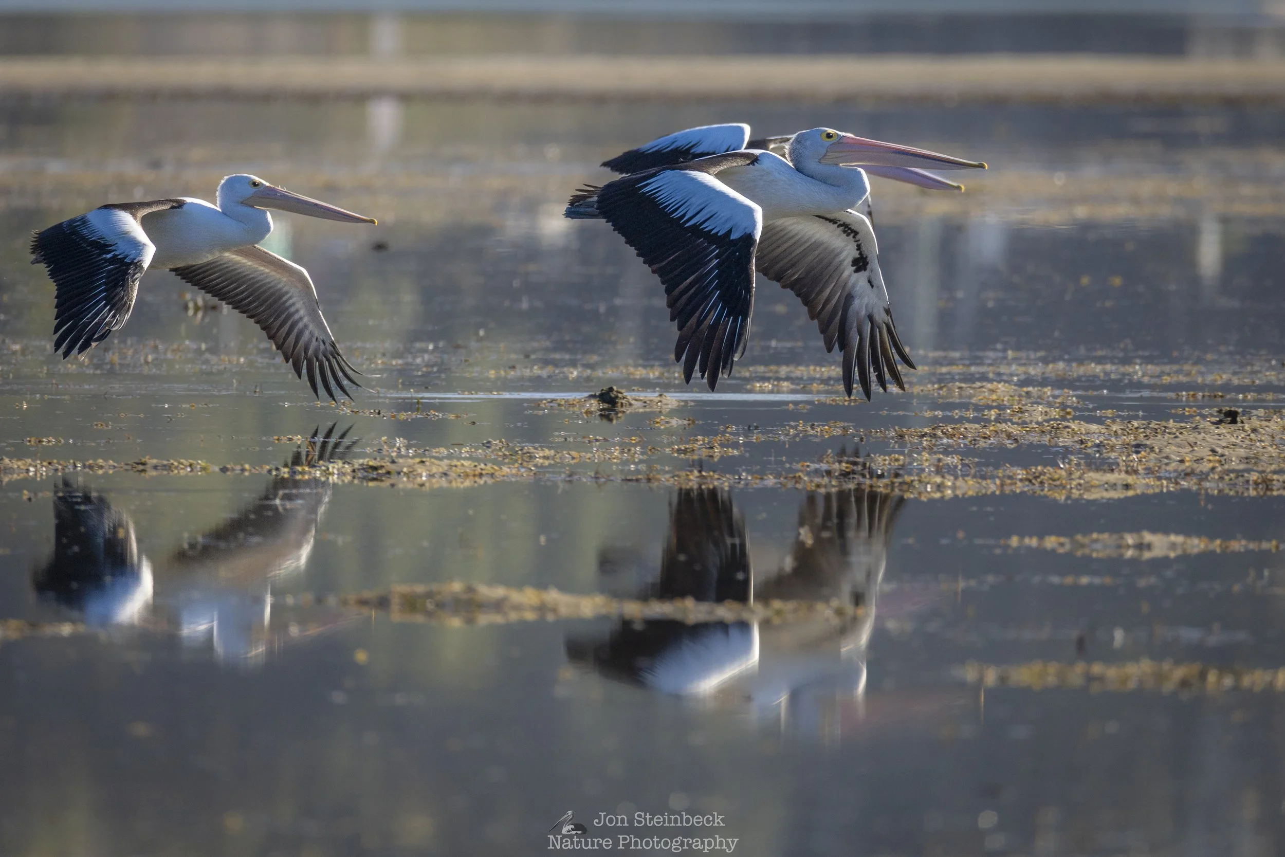 Skimming over the inlet