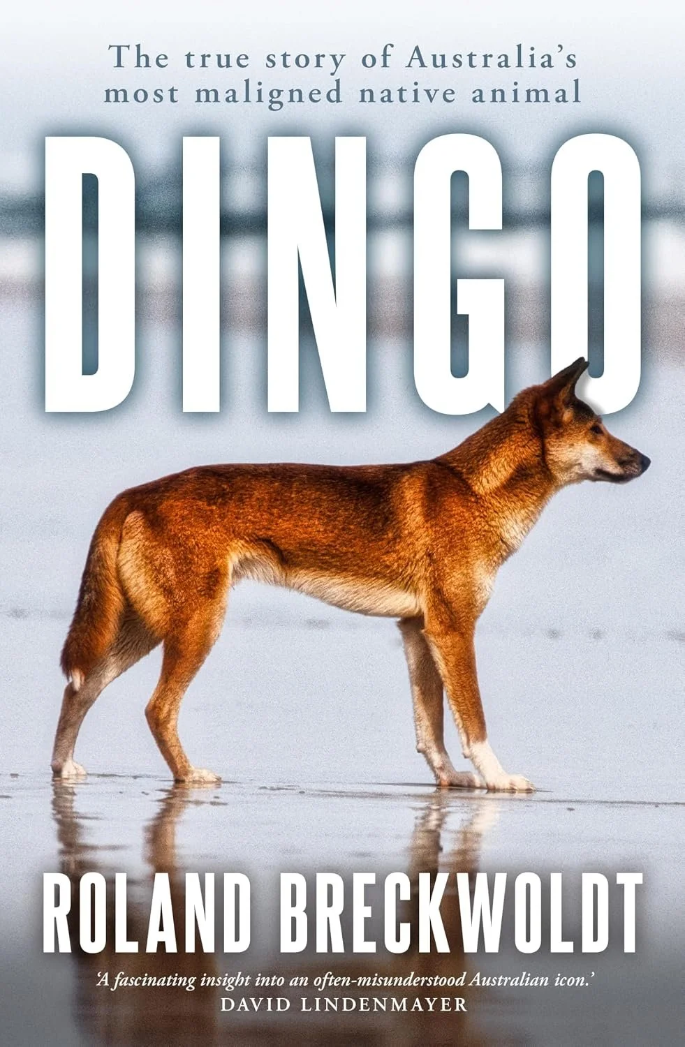 Book Review: Dingo - The true story of Australia's most maligned native animal
