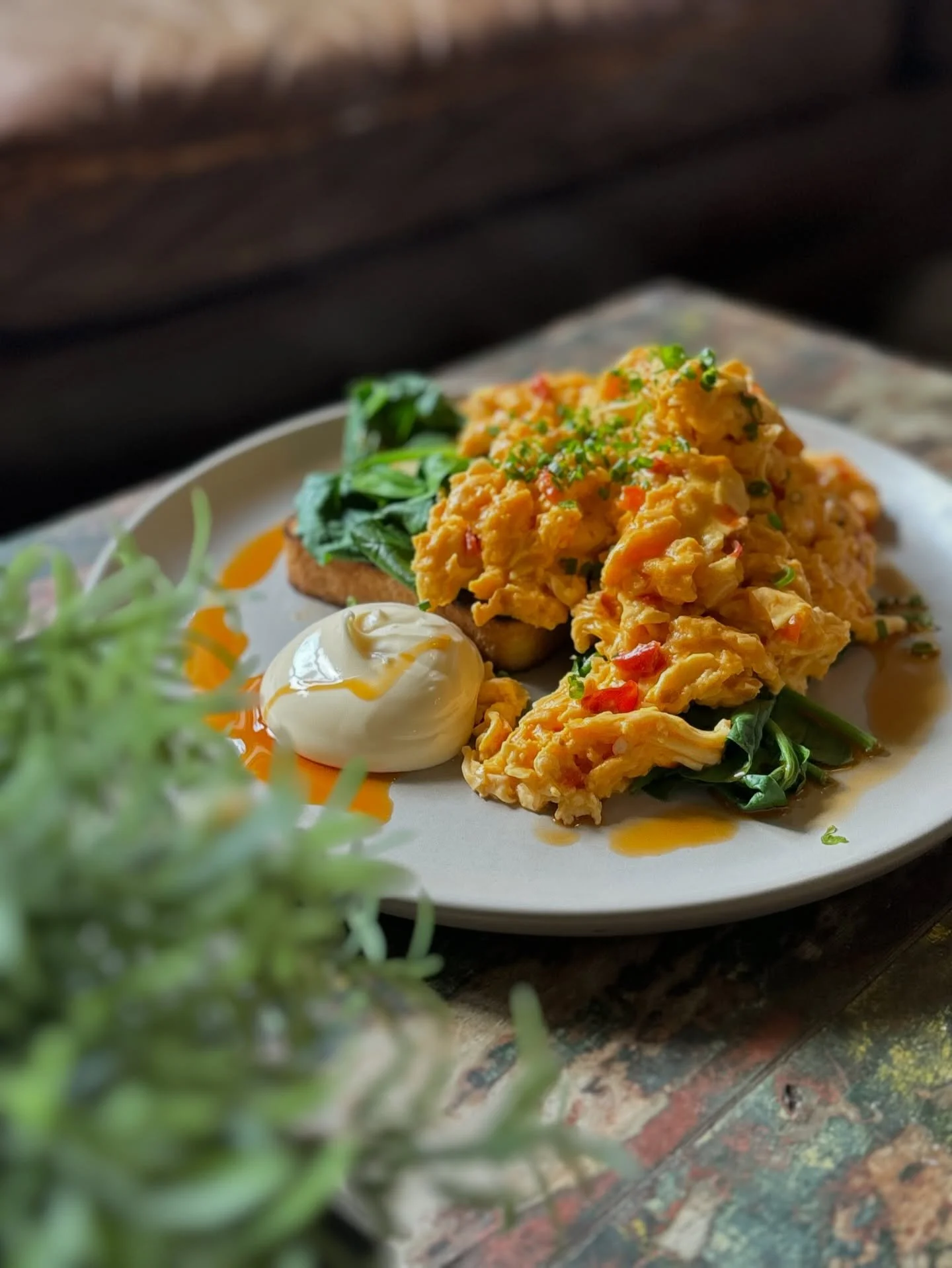 🚨 WHY YOU SHOULD VISIT US (ACCORDING TO SCIENCE&hellip; probably)

1.House-made cakes. Because store-bought cake is just sadness in icing.
2. New specials daily - like Mystery Boxes, but edible.
3. Table service. Because chasing a buzzer isn&rsquo;t