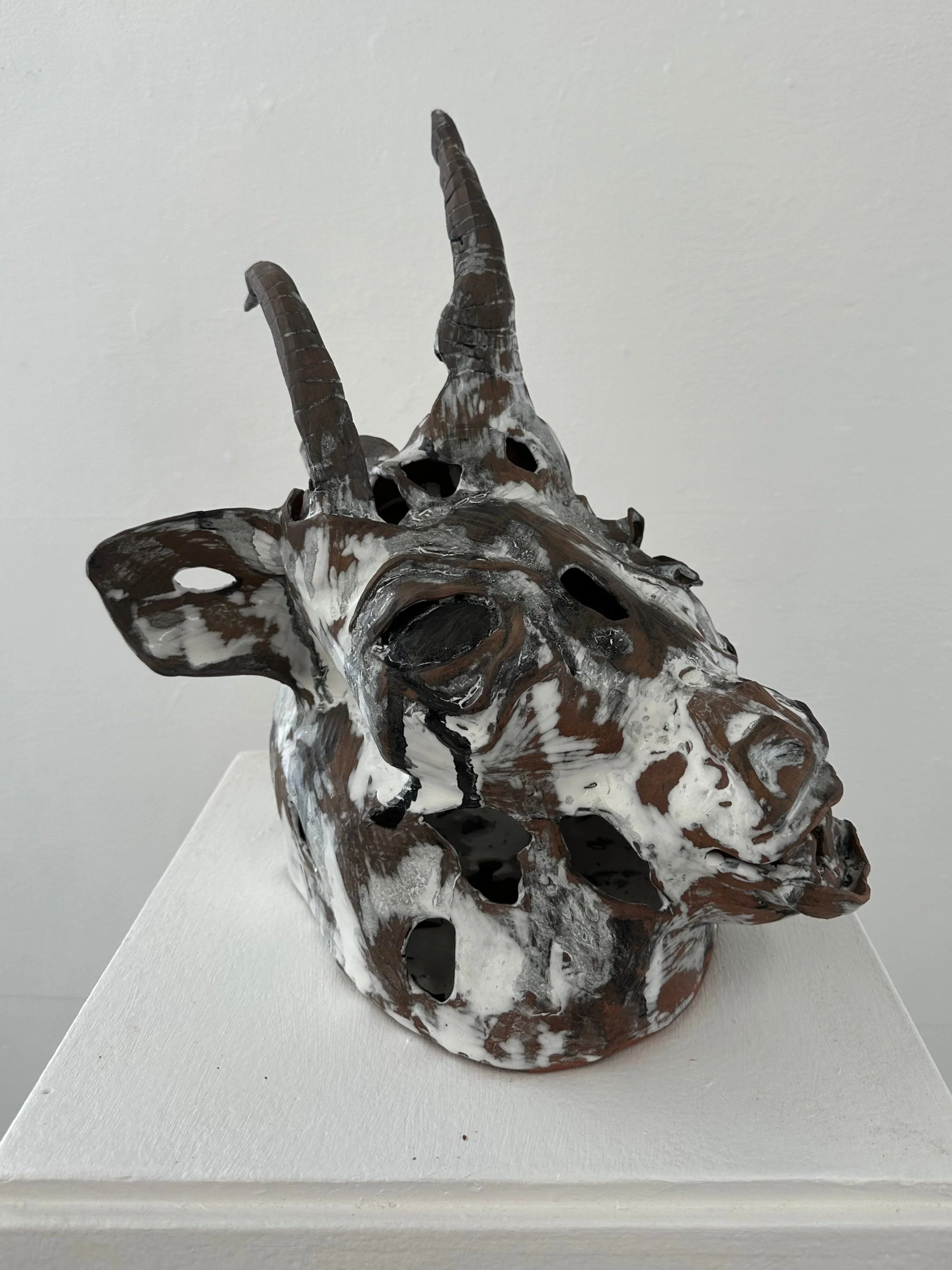 MOUNTAIN GOAT 
ceramic 
March 2, 2023