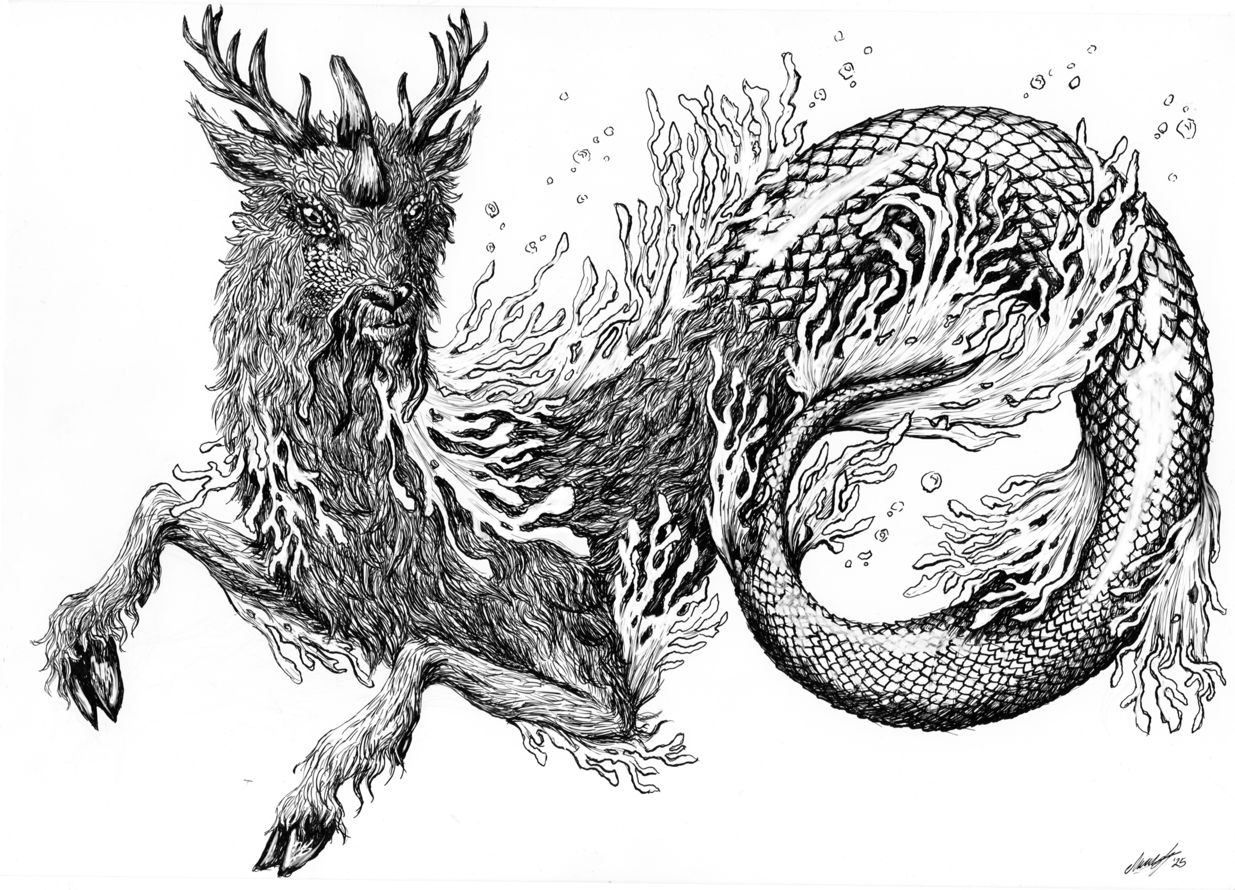 "Sea Cervine", ink on paper. 2025
