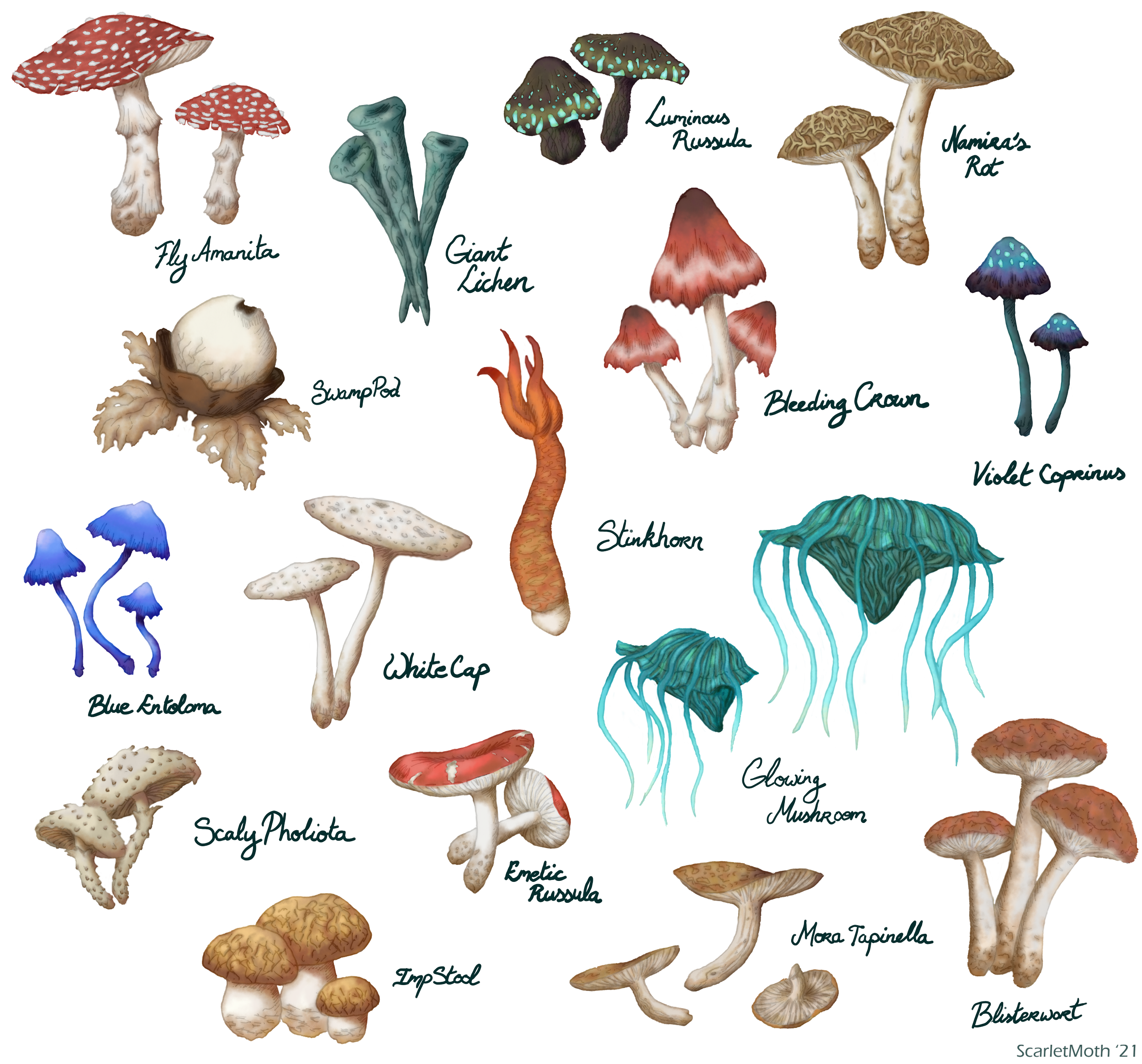 "Fungi of Tamriel", pencil and ink drawings with digital colouring. 2021
