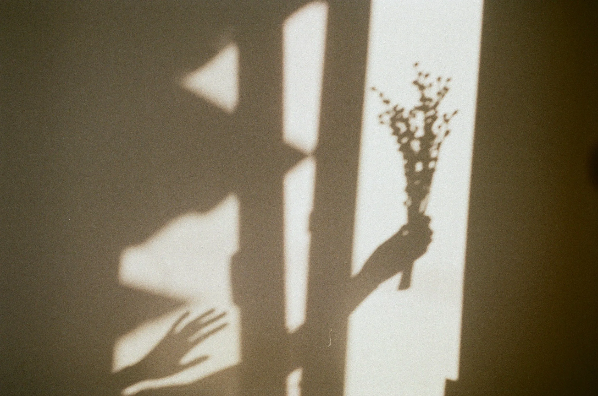 Spotting Coercive Control in Legal Cases