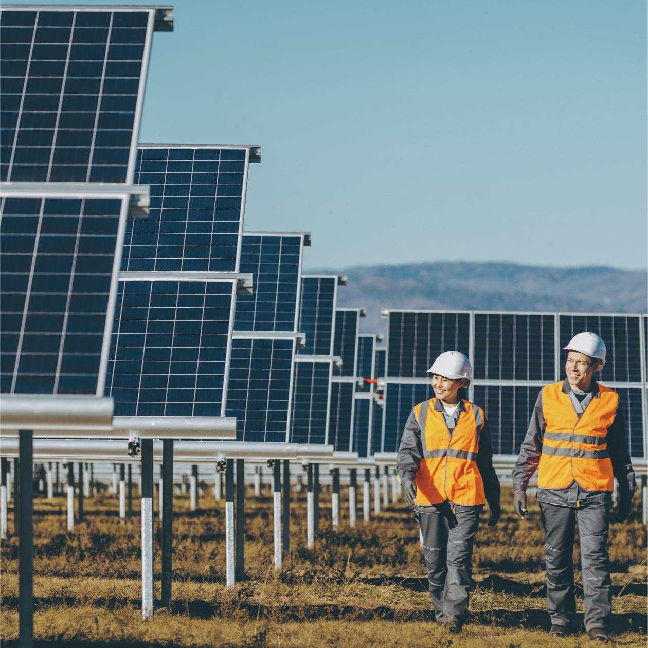Power generation site with solar panels and field technicians, representing quality assurance and inspection support for energy projects.