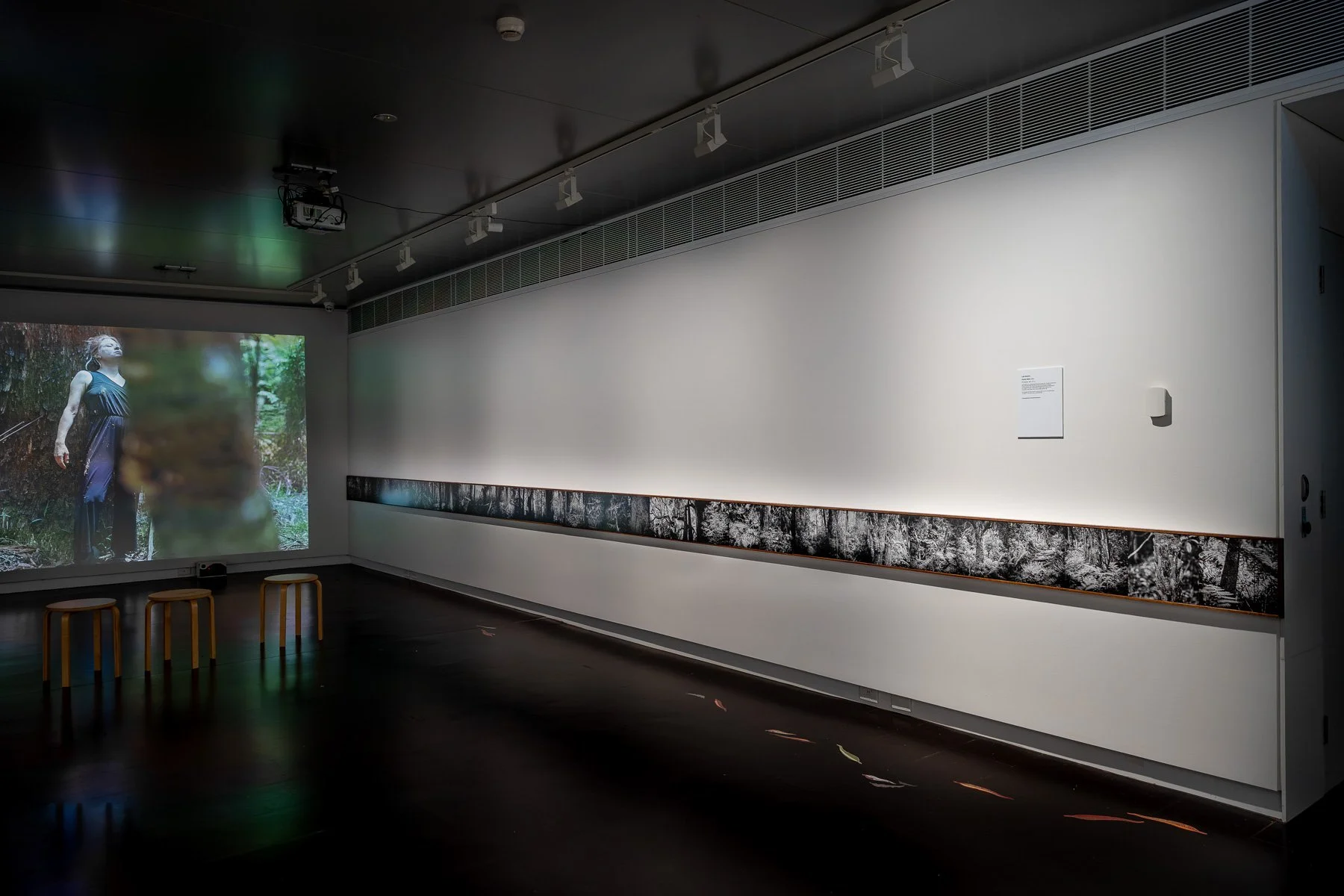 Forest Walk
Laki Sideris
Photographs
Sideris took photographs along the entire On Country/In Residence forty-kilometre three-day walk across the Dandenong Ranges/Corhanwarrabul. The camera was set predominantly at waist height—the height of a child