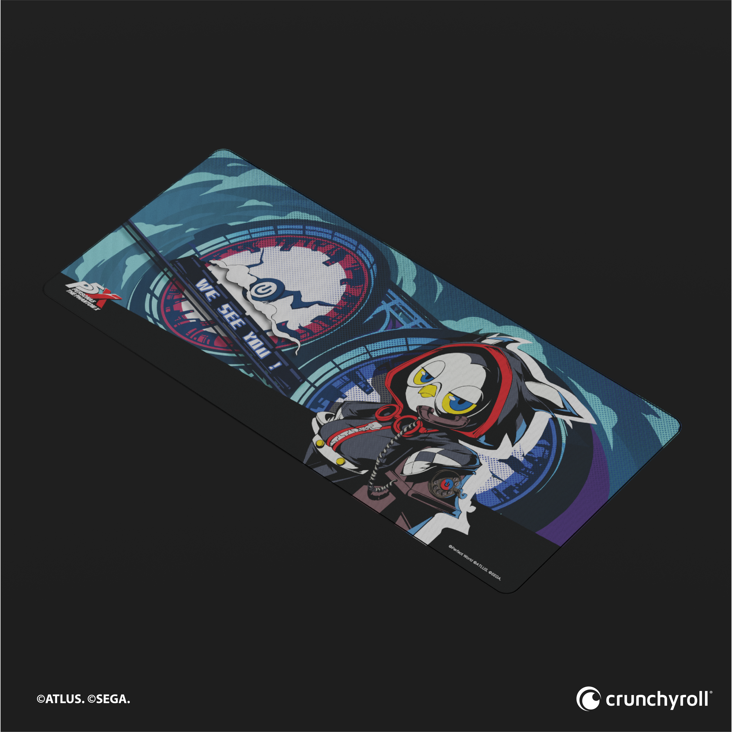 20250626_CR_P5X-07.png
