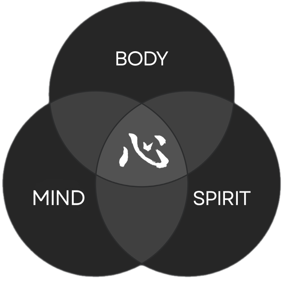A Venn diagram with three overlapping circles labeled 'BODY', 'MIND', and 'SPIRIT'. The intersection of all three circles contains a stylized Chinese character representing 'heart' or 'mind'.