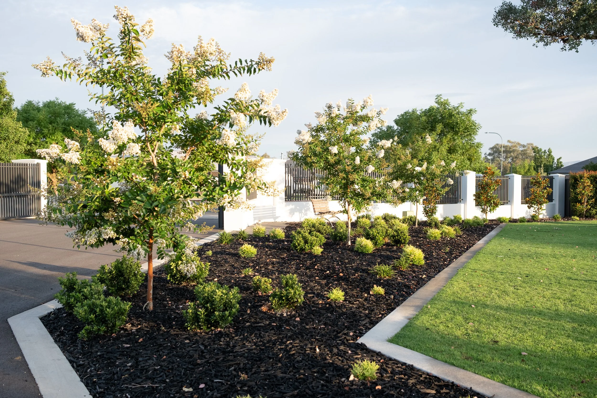 A landscaped garden with blossoming trees, shrubbery, and a neatly edged lawn, enclosed by a black and white fence.