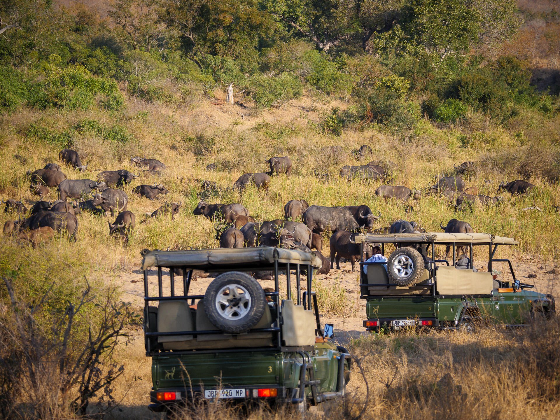 Jock Safari Lodge_2.jpg