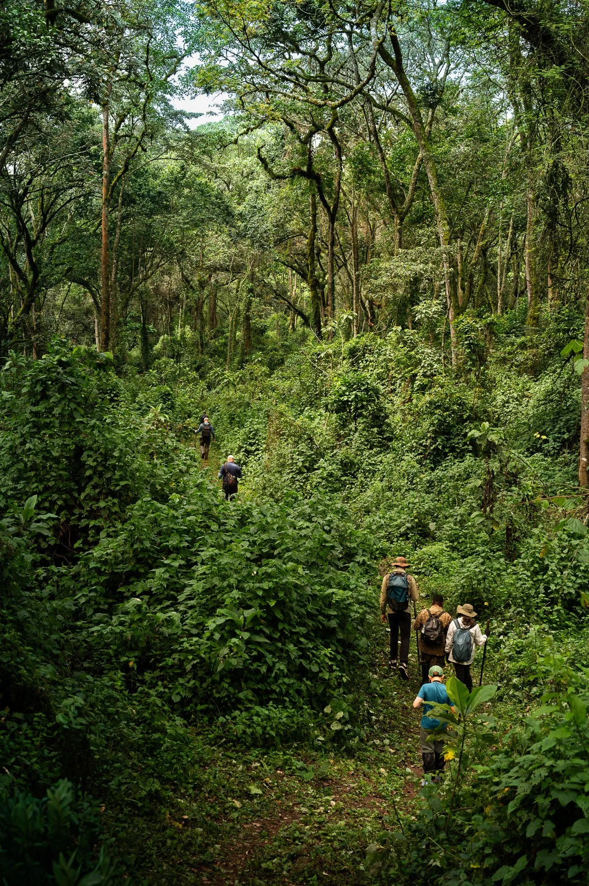 Wildcape Rwanda Ugunda Explorer-16.jpg