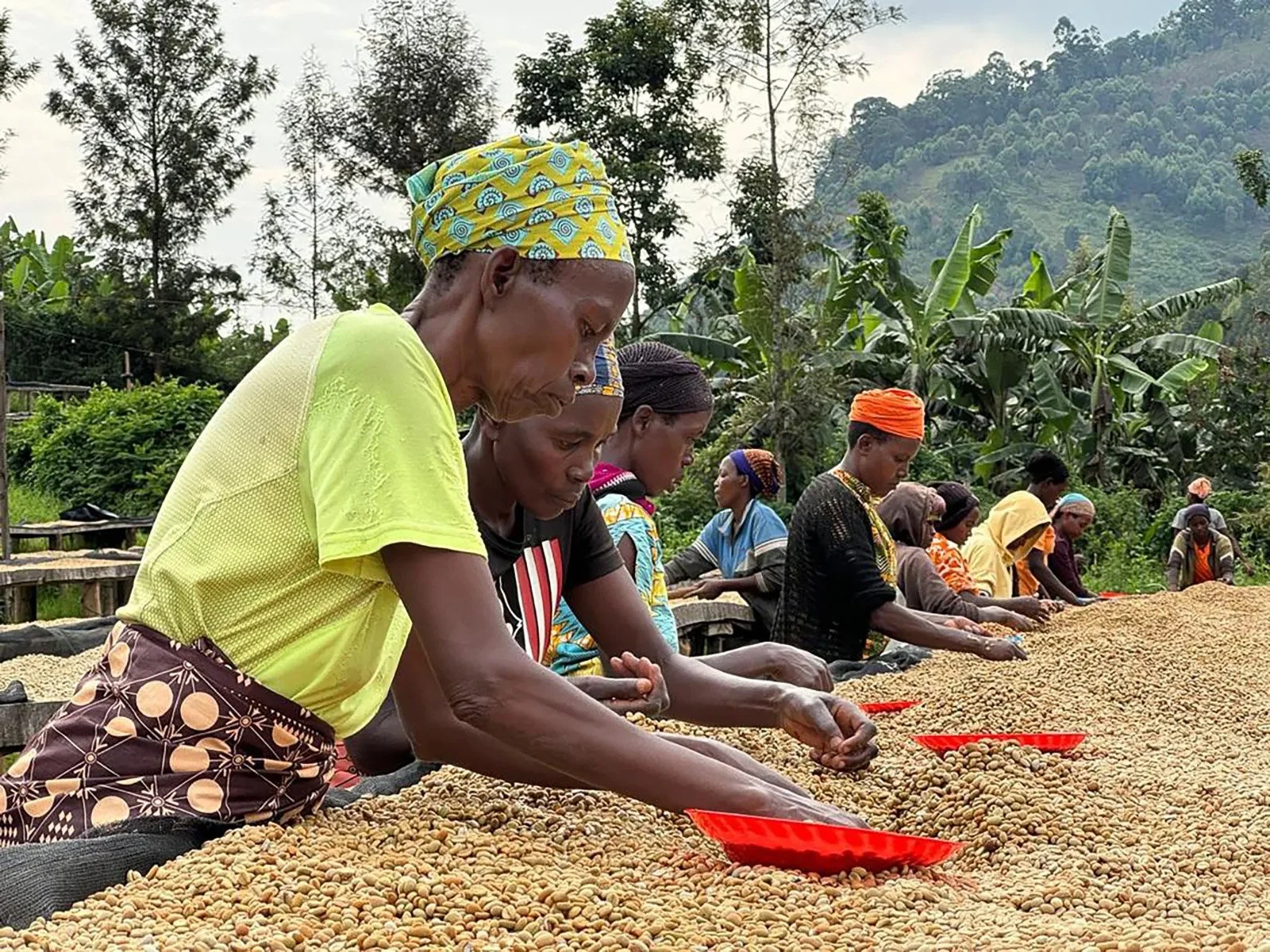 Wildcape Rwanda Ugunda Explorer-20.jpg