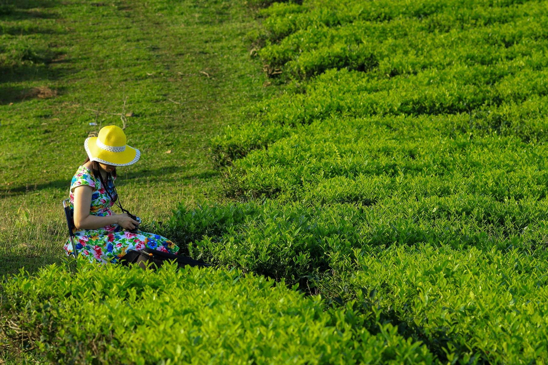 Wildcape Rwanda Ugunda Explorer-24.jpg